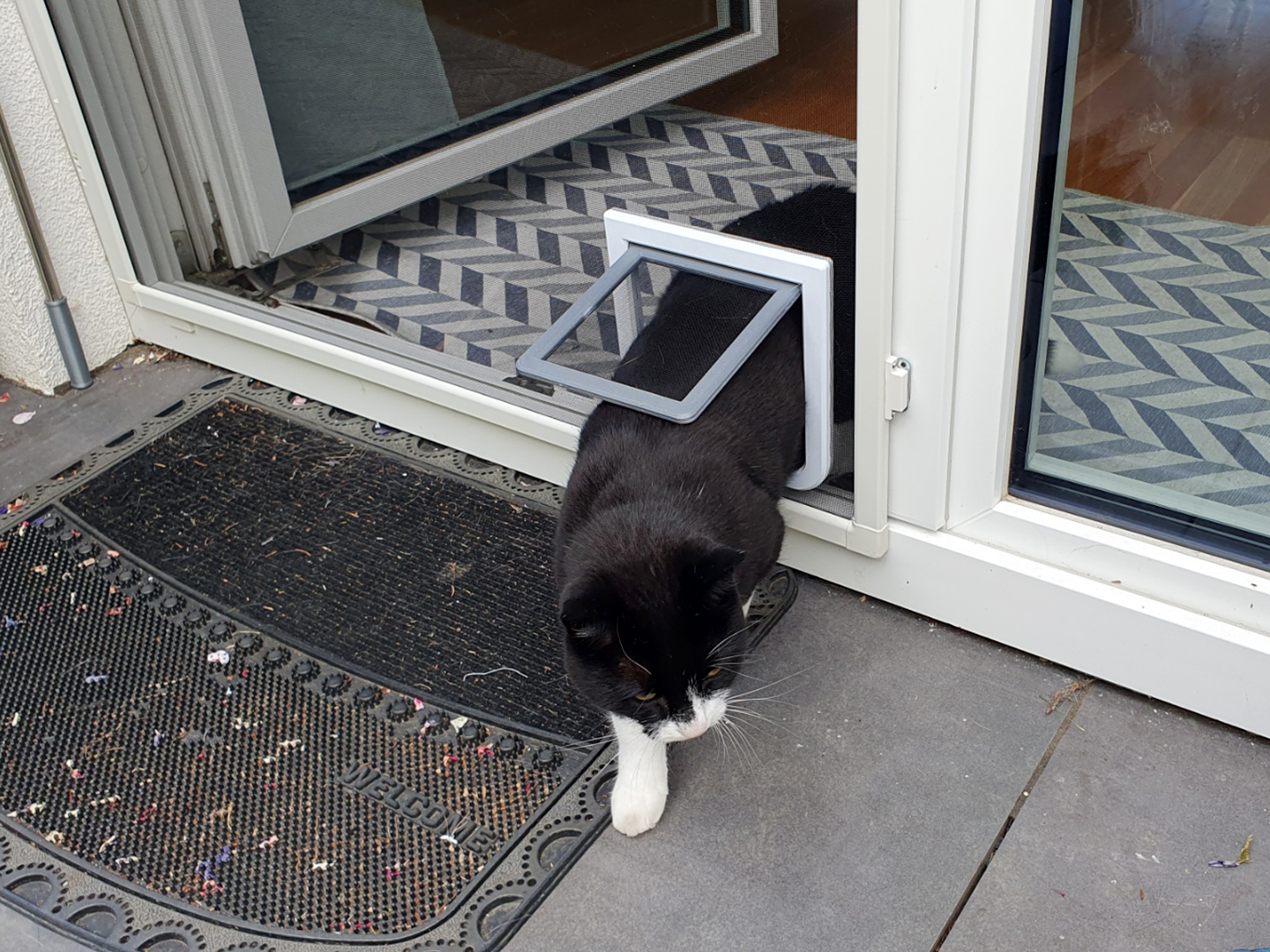 Cat Flap Mosquito Screen By Laisch Download Free STL Model cat-flap-mosquito-screen-by-laisch-download-free-stl-model