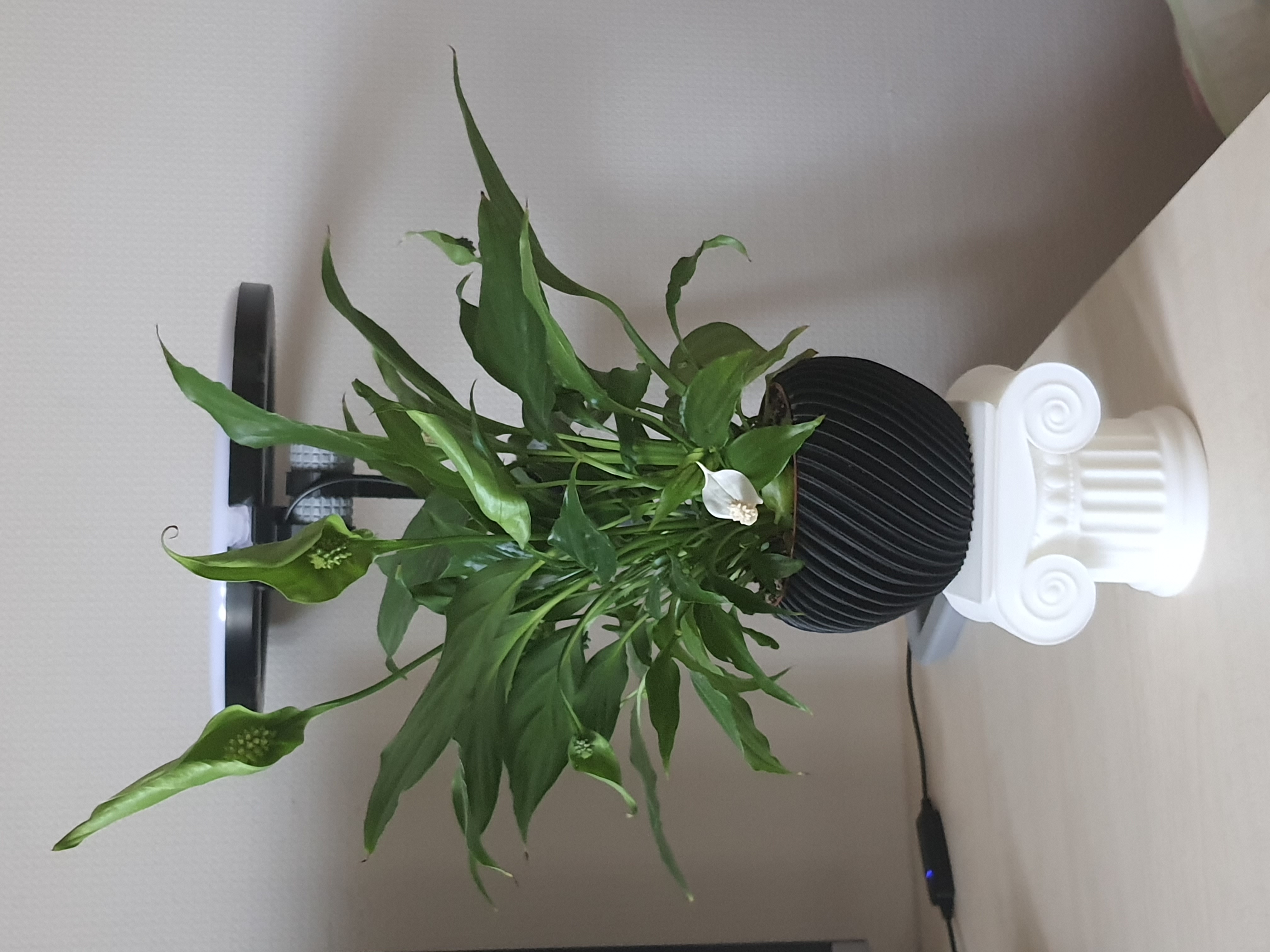 Miniatura 7 do modelo 3D Ionic column (hidden case)