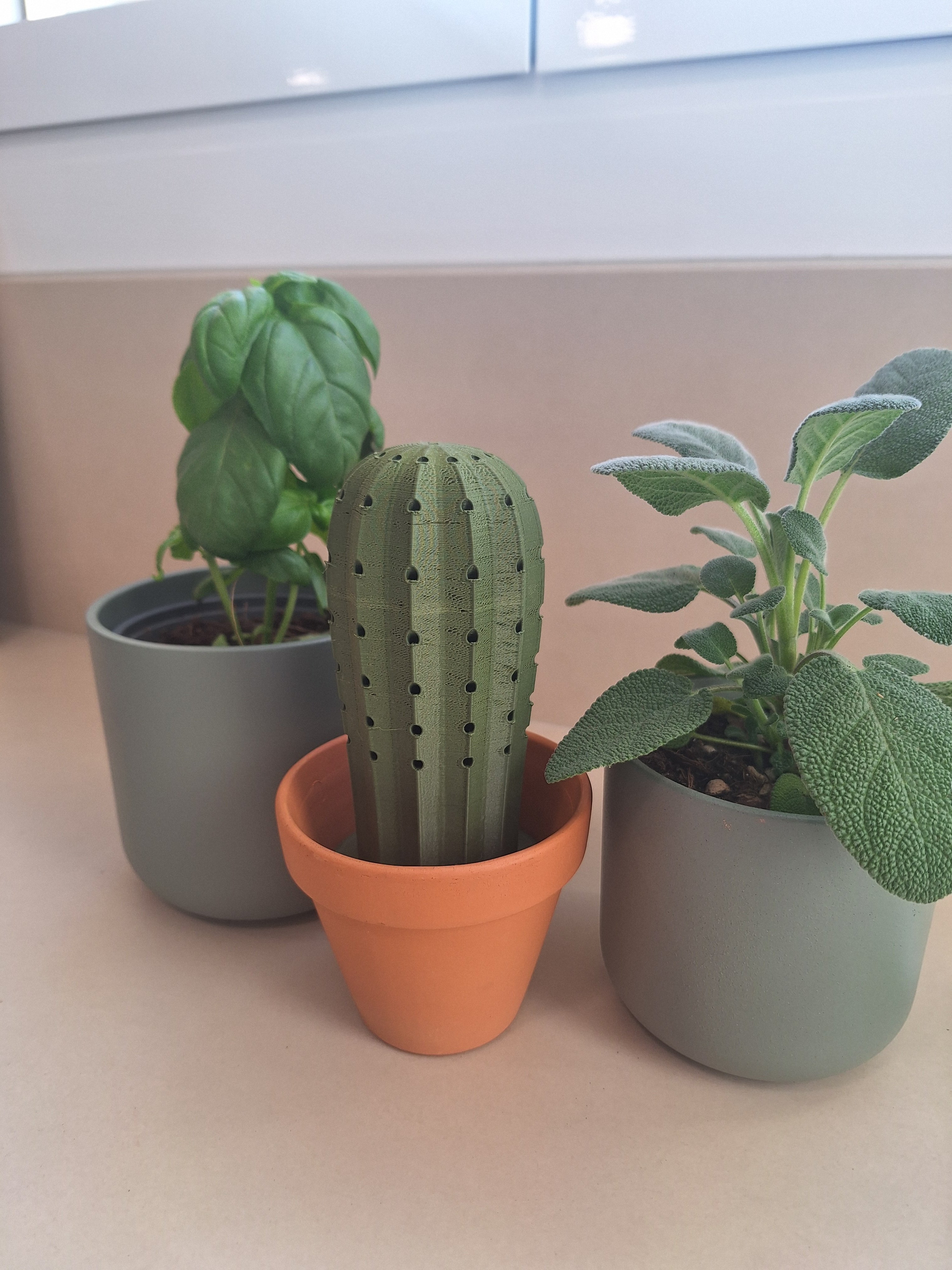 Cactus toothpick holder