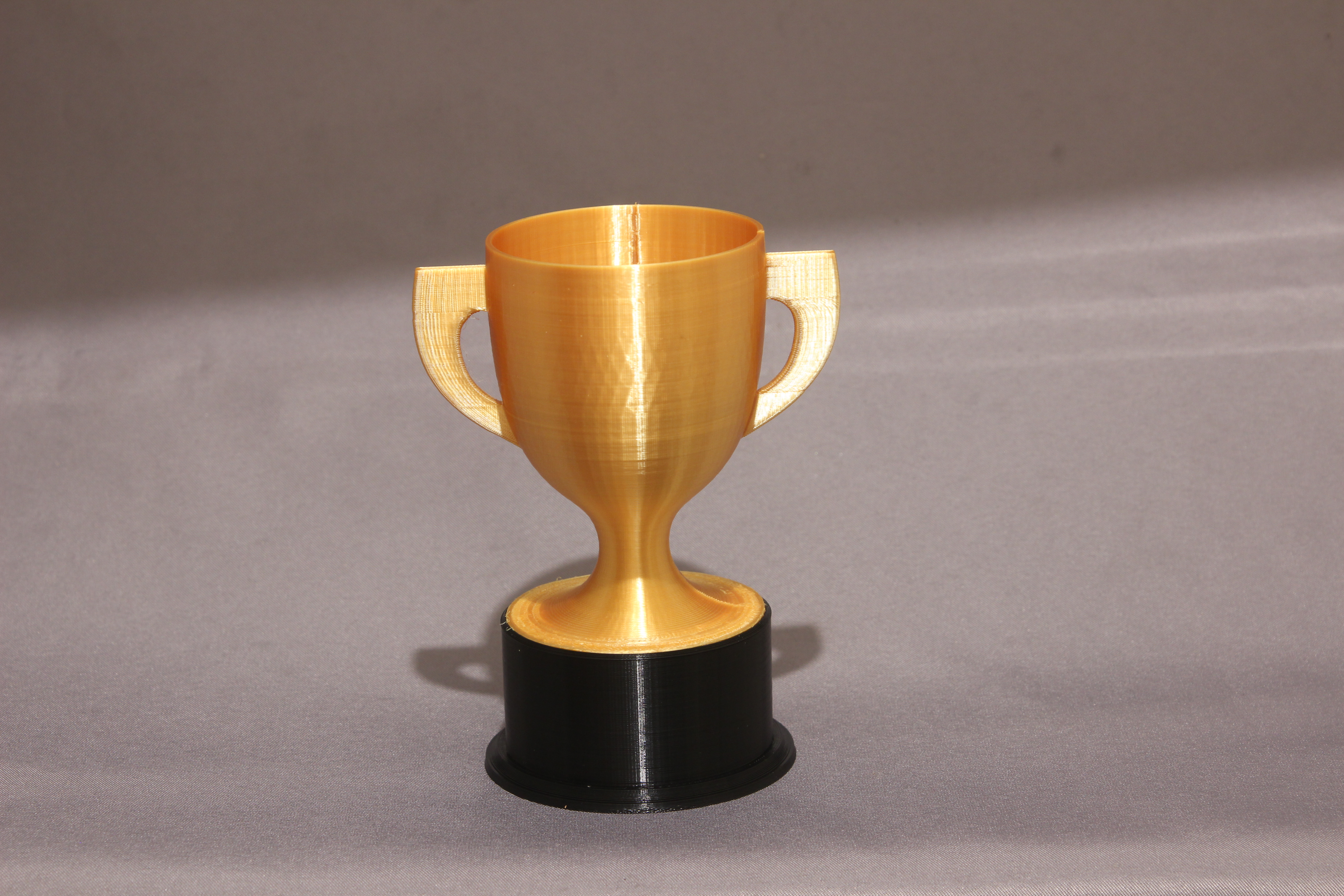 Trophy