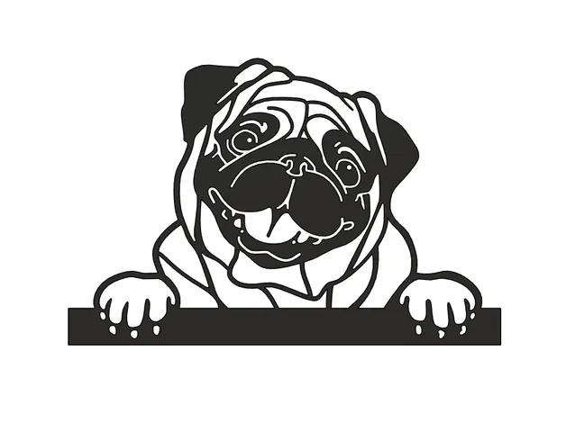 Pug Dog