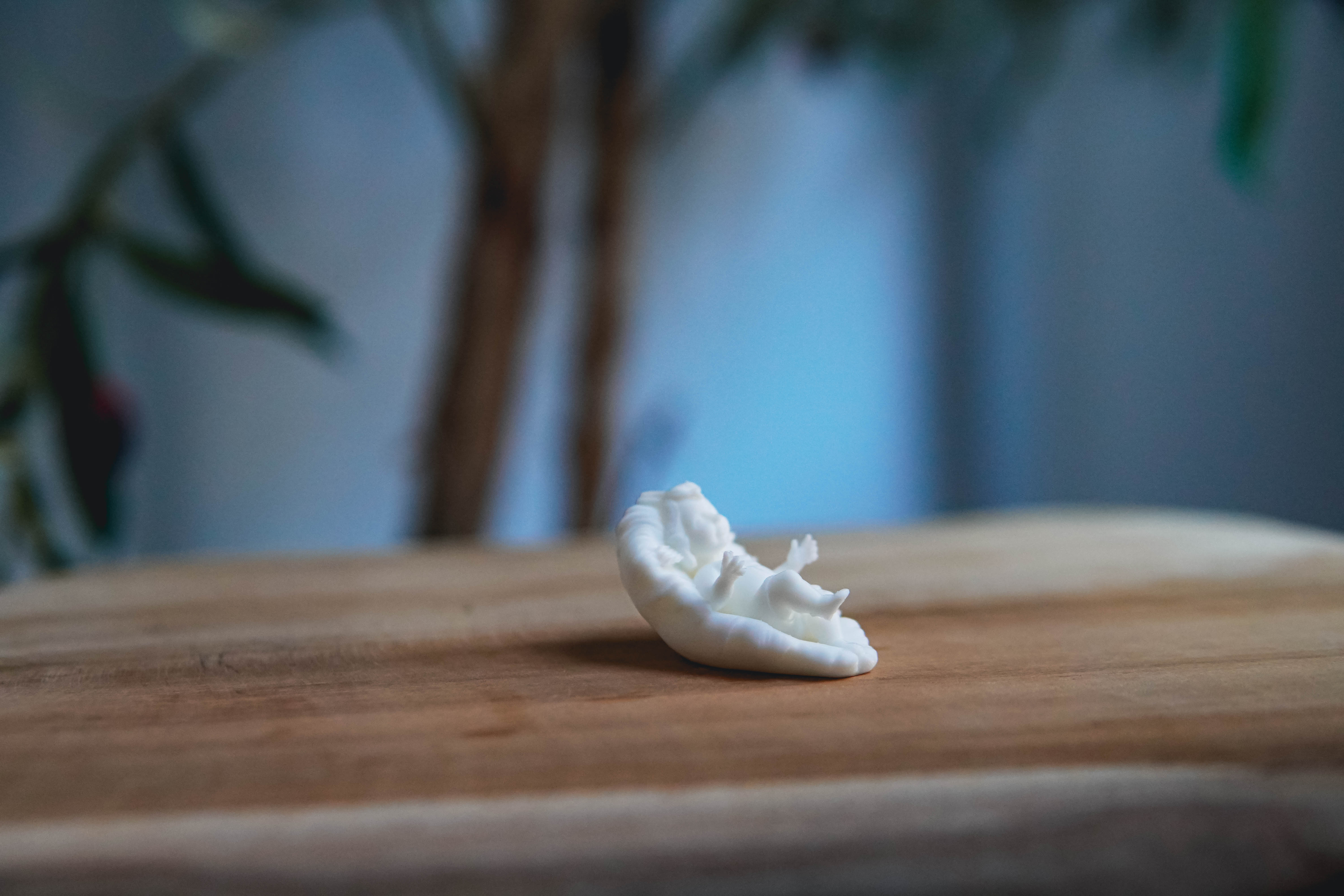 Baby Jesus Mini