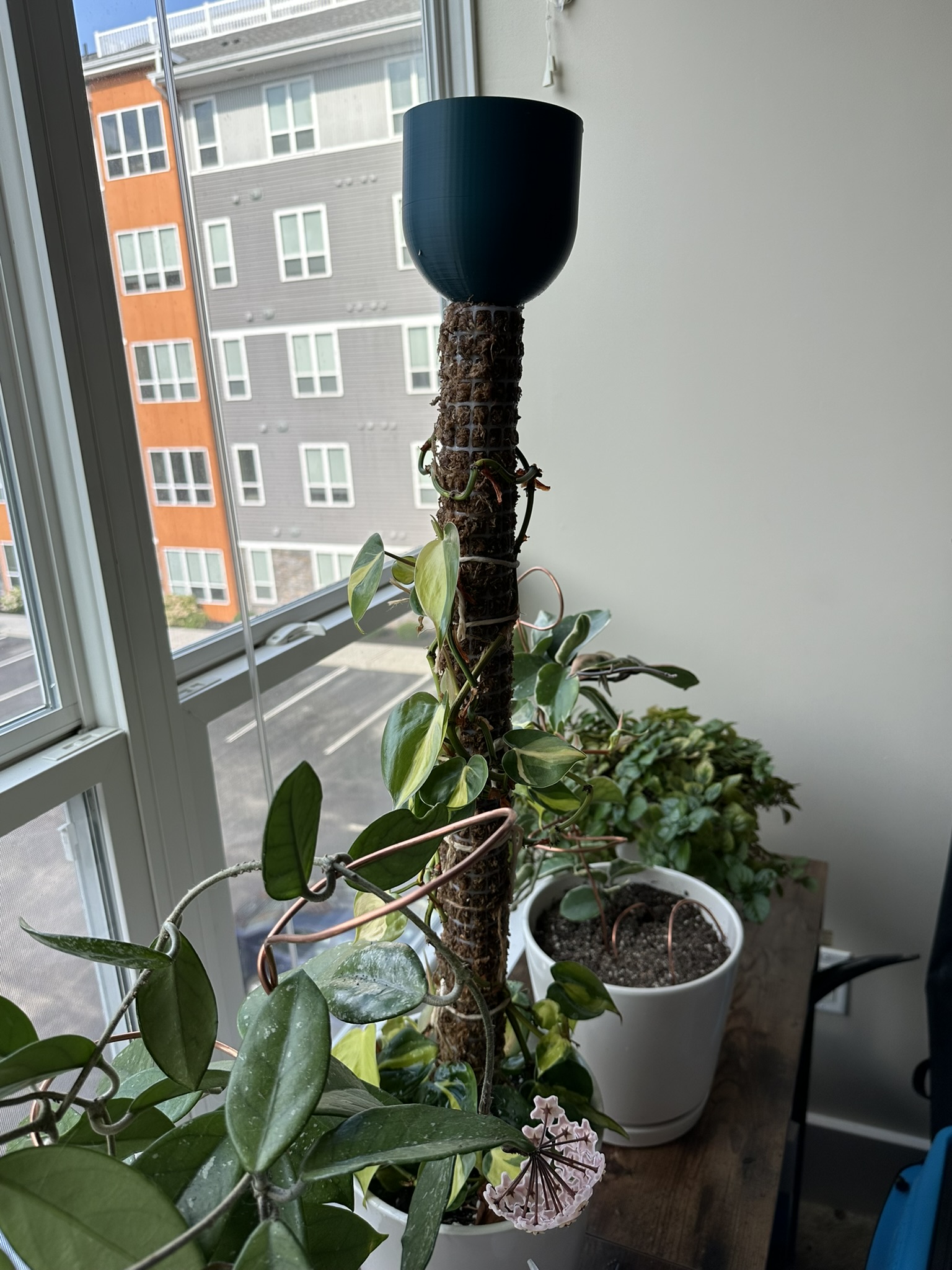 MosSoaker - Sphagnum Moss Pole Water-Dripper