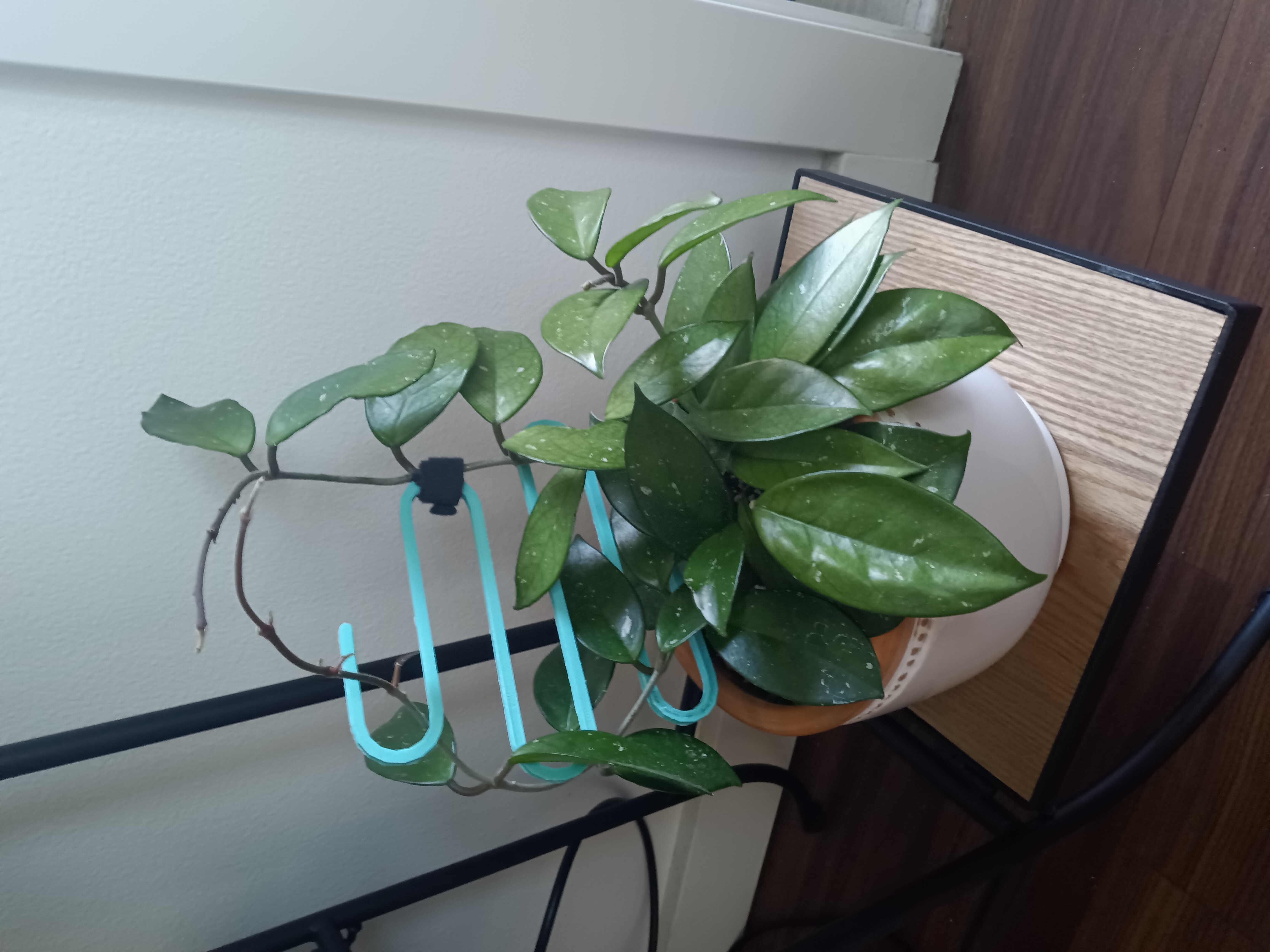 Plant Support