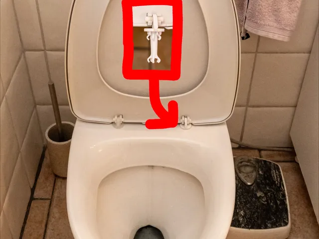 IFÖ Toilet Hinge Plug