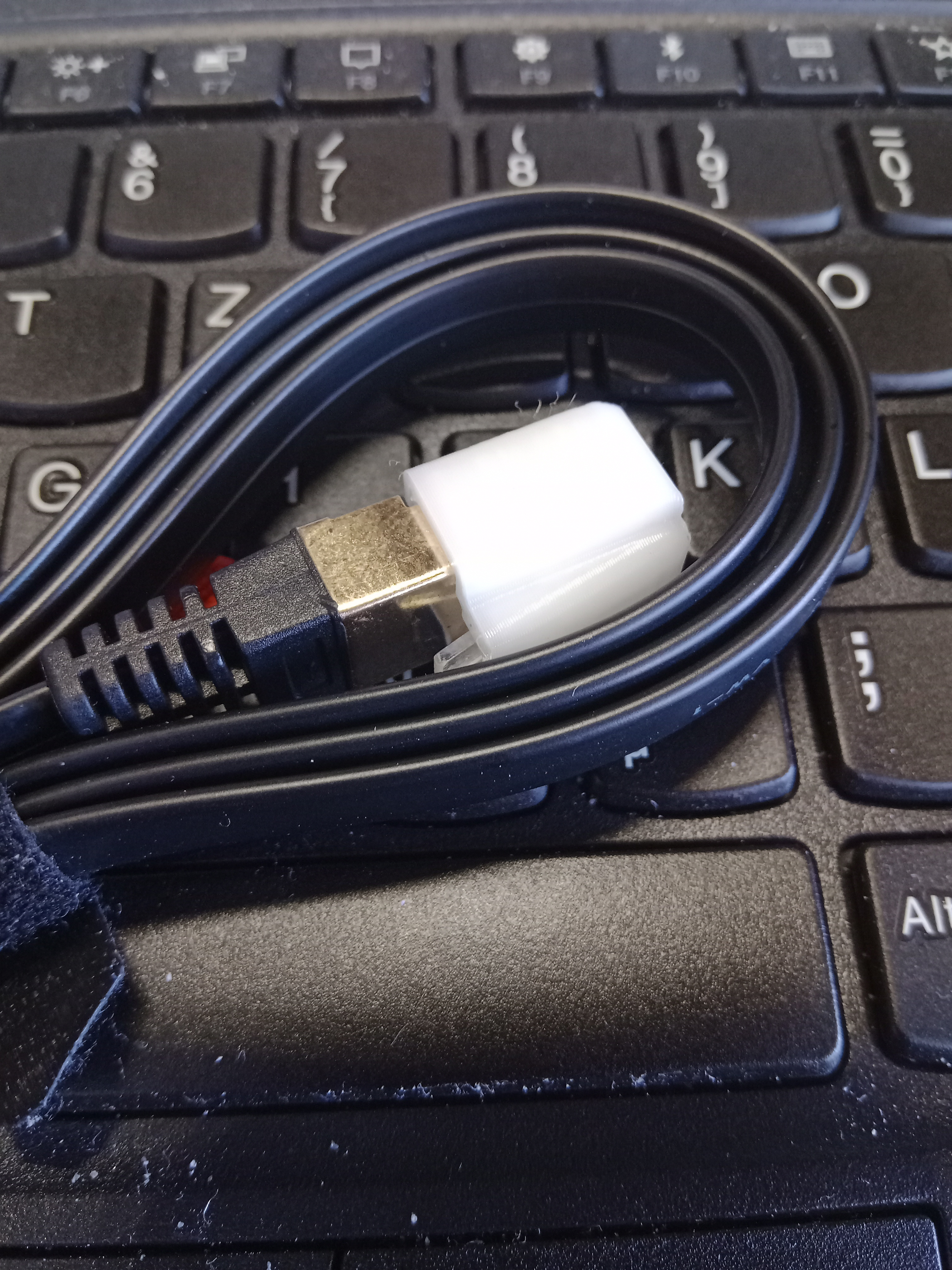 RJ-45 (Ethernet) connector protective cap