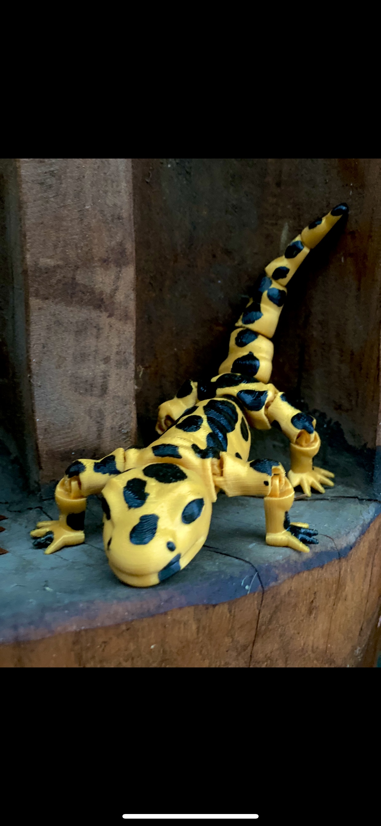 Salamander by George | Download free STL model | Printables.com