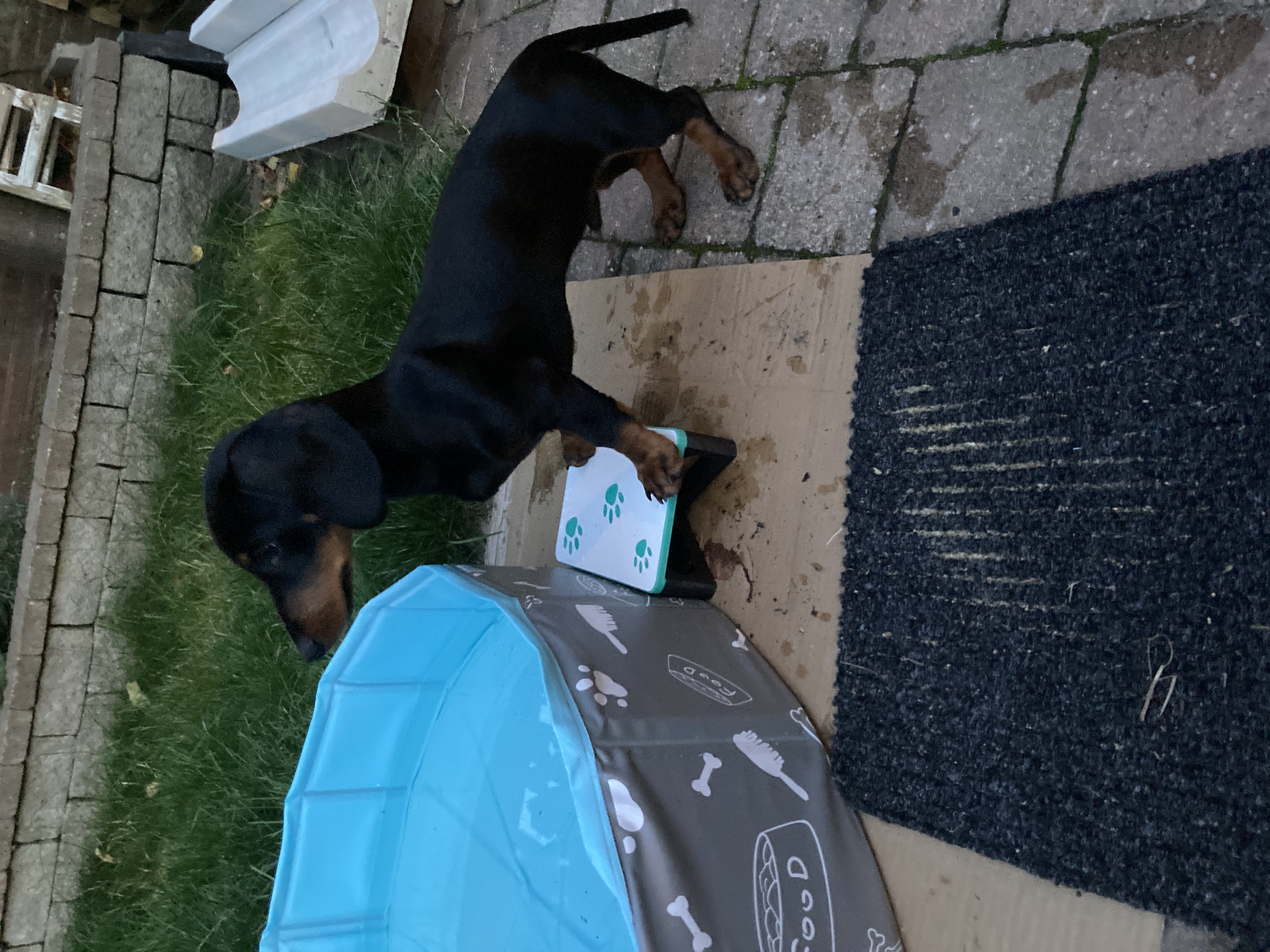 Small dog step stool by JeyMco Download free STL model