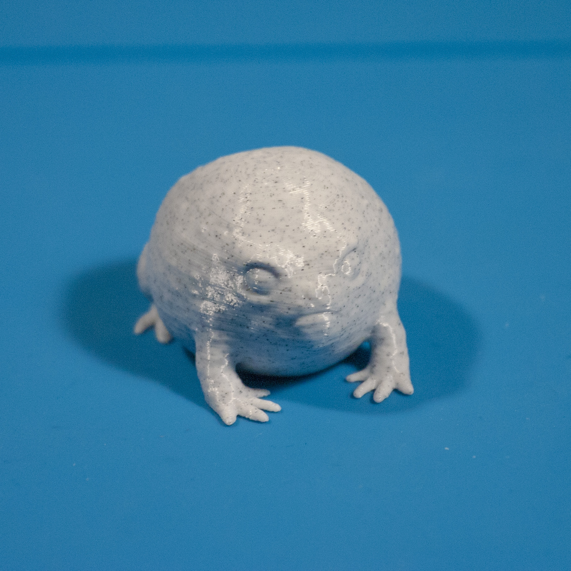 Desert Rain Frog (no base)