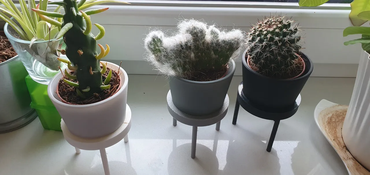 Ikea cactus stand by 2.0 | Download free STL model | Printables.com