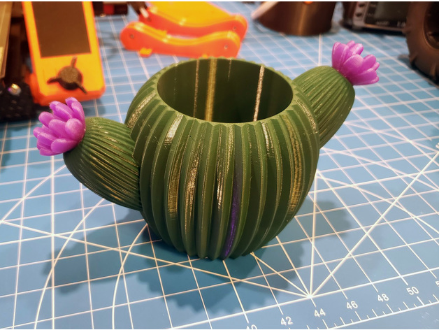 Cactus Desk Organizer