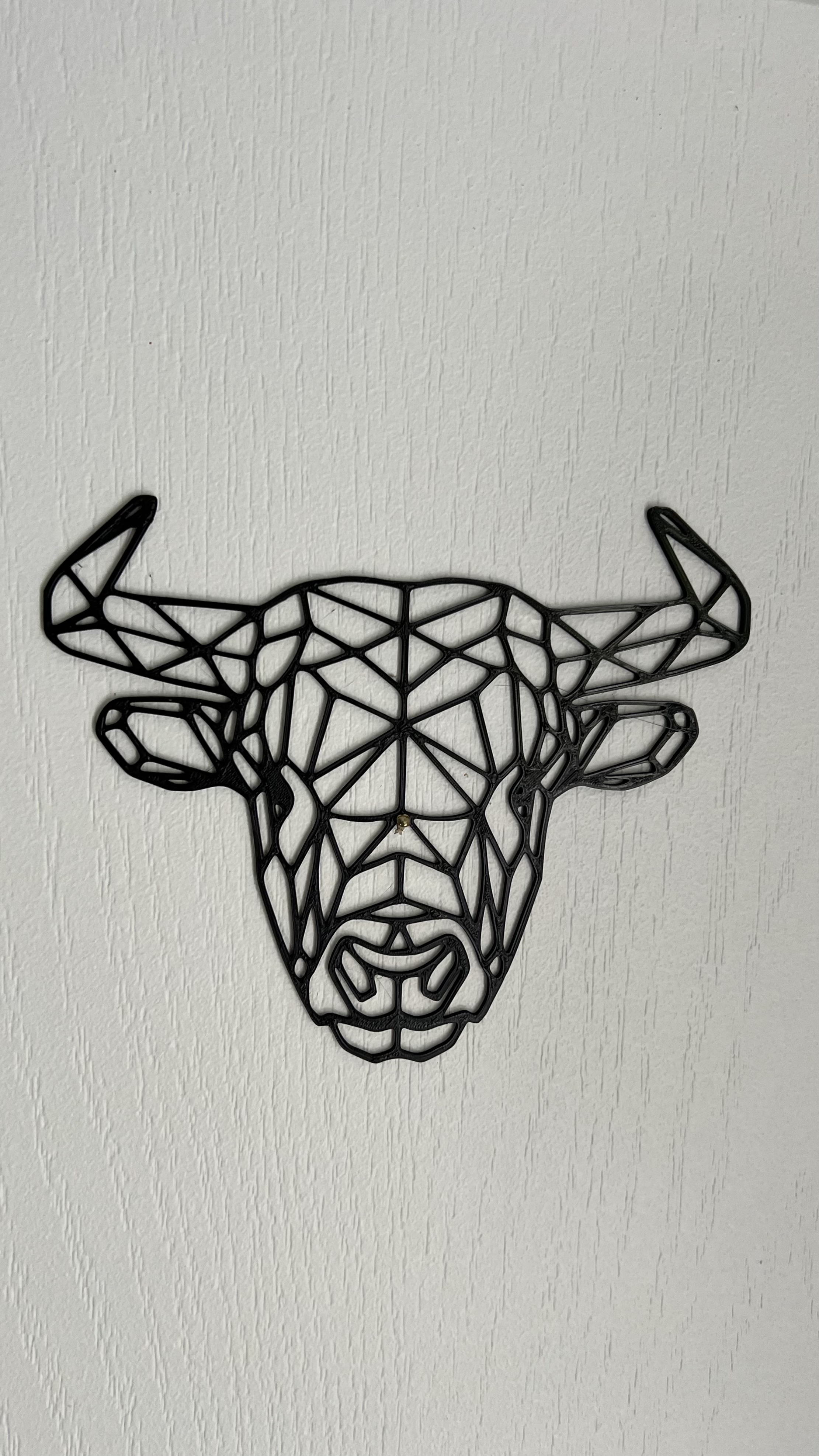 Highland Cattle Wall Art #1