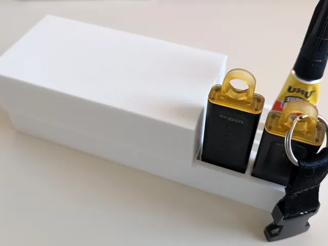 Tarjetero escritorio para tarjetas CF y USBs