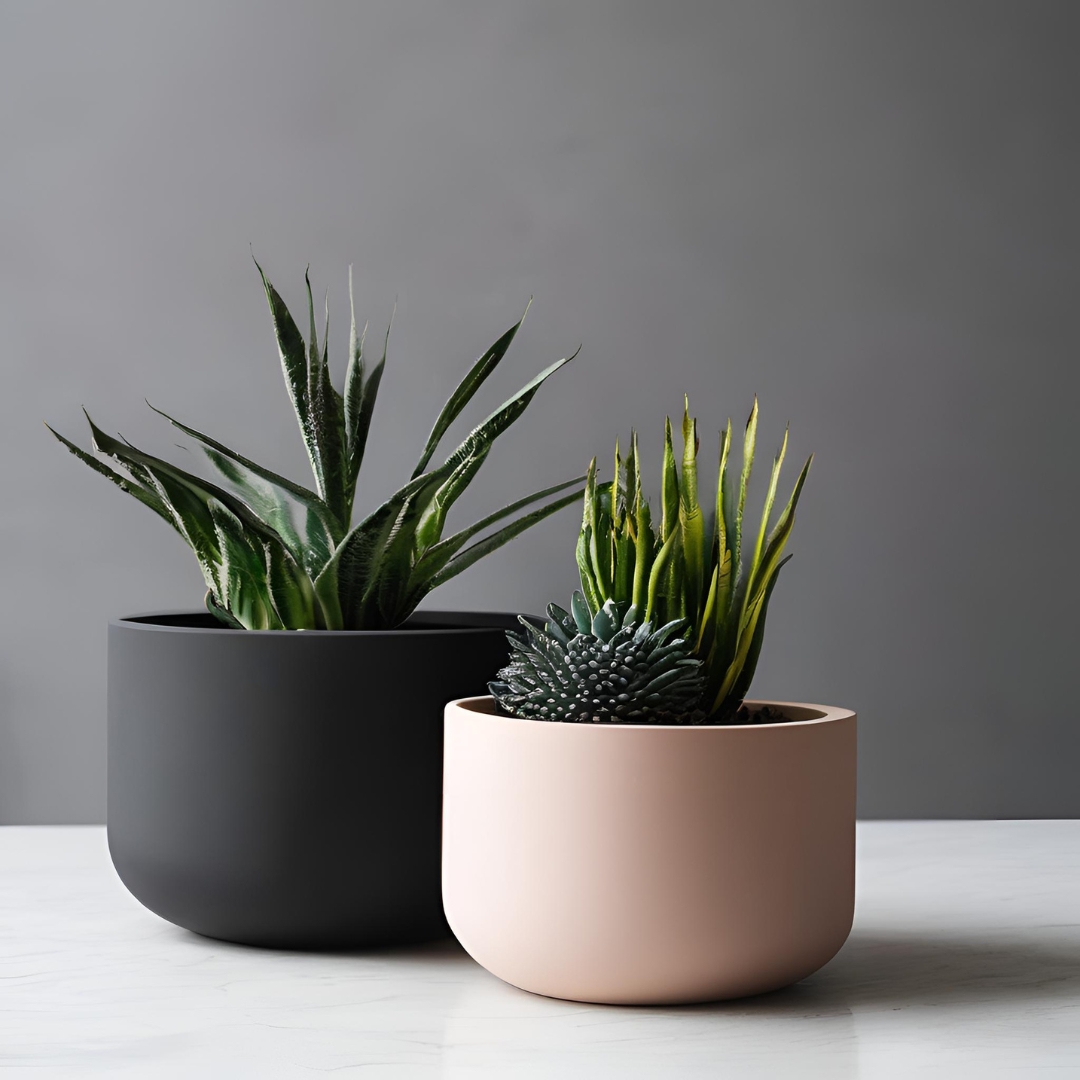 Minimalist round plant pot