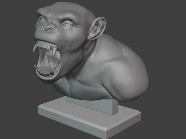 Chimp