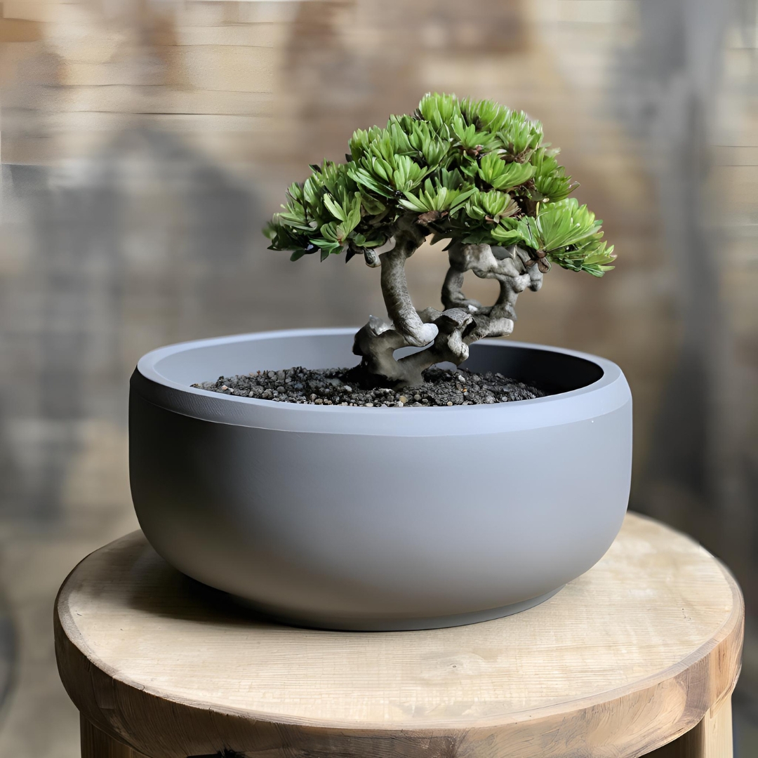 Flat Design Bonsai Pot, Bonsai Planter by Deltaprints | Download free ...