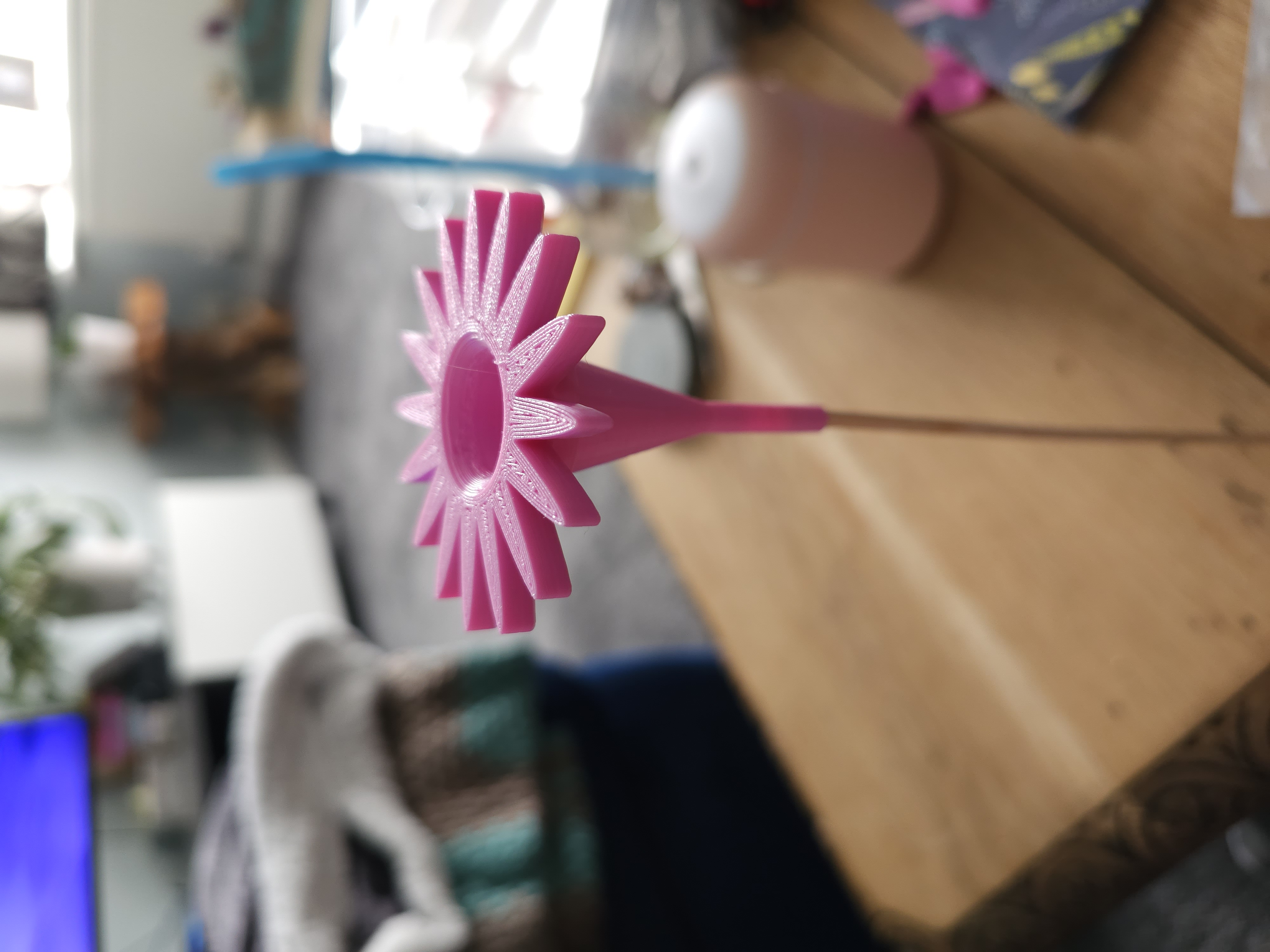 Insect water flower