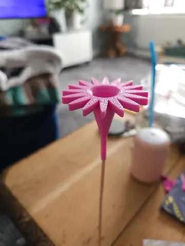 Insect water flower