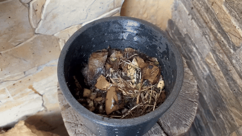 Mini Composter – For Home & Learning — thumbnail 9