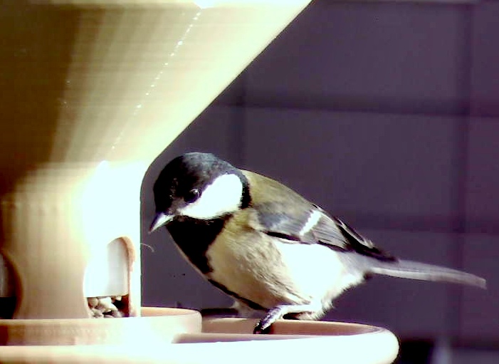 Miniatura 6 do modelo 3D Vogelfuttersilo
