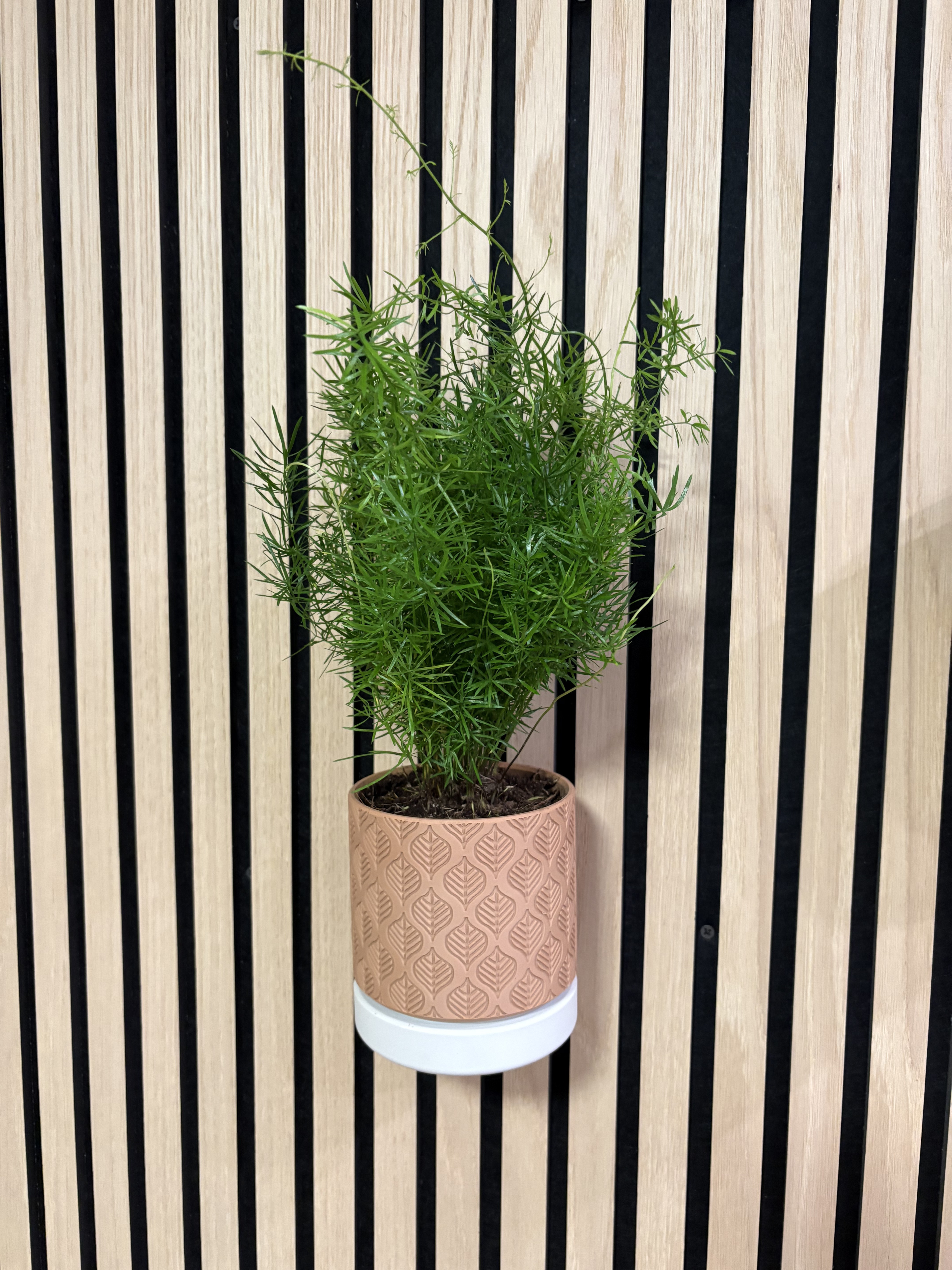 Planter 1.28 (leaves) - without wall mount