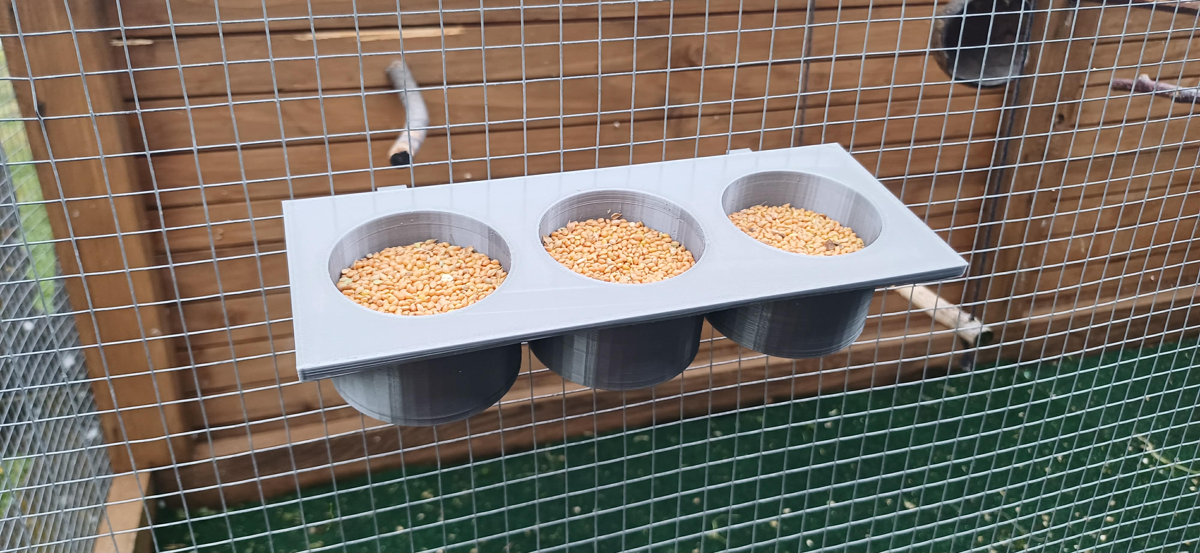 Karmnik dla Papug Parrot Feeder