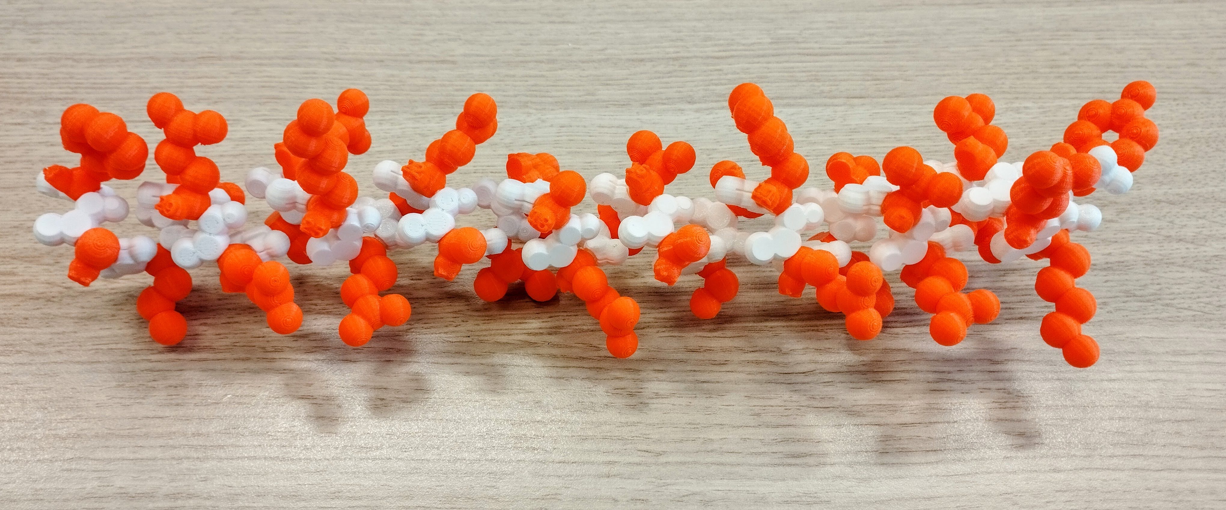 Parametric Protein Model from pdb file