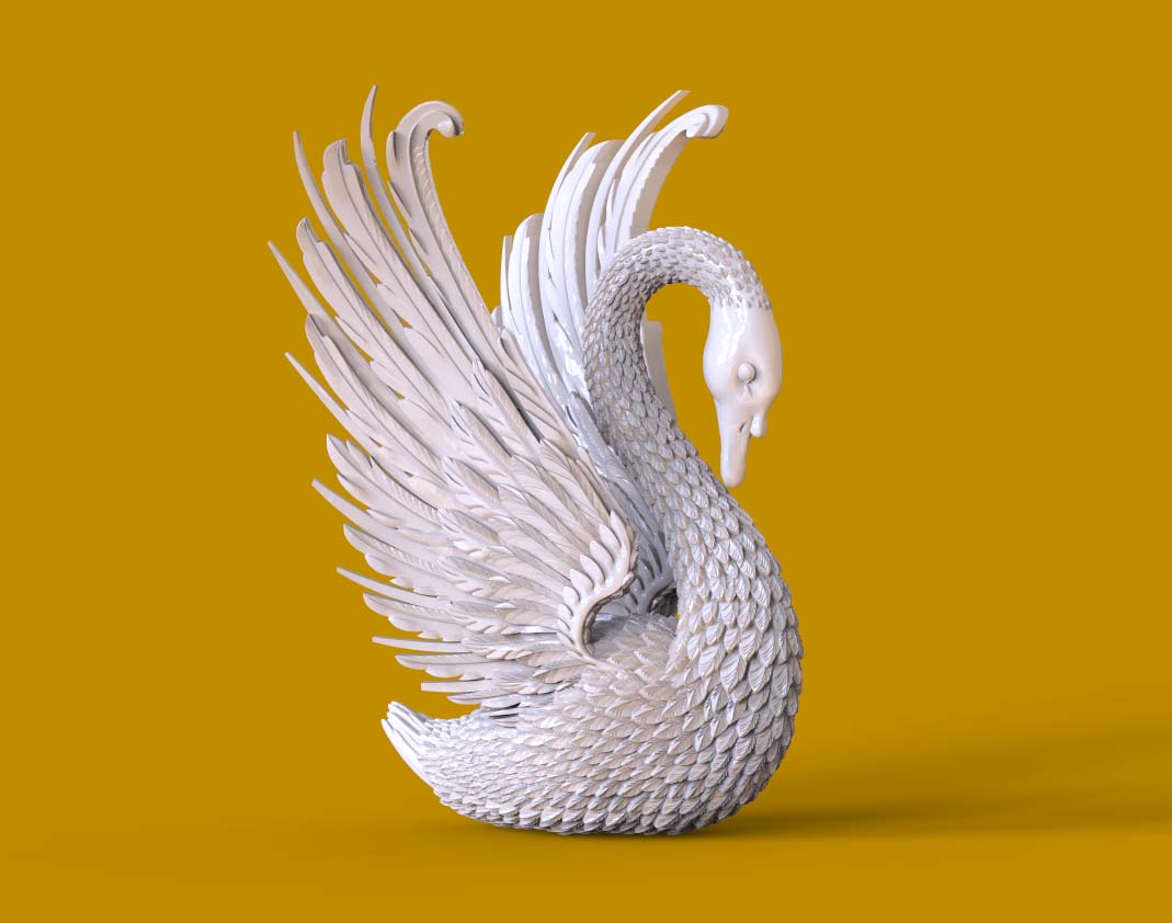 swan