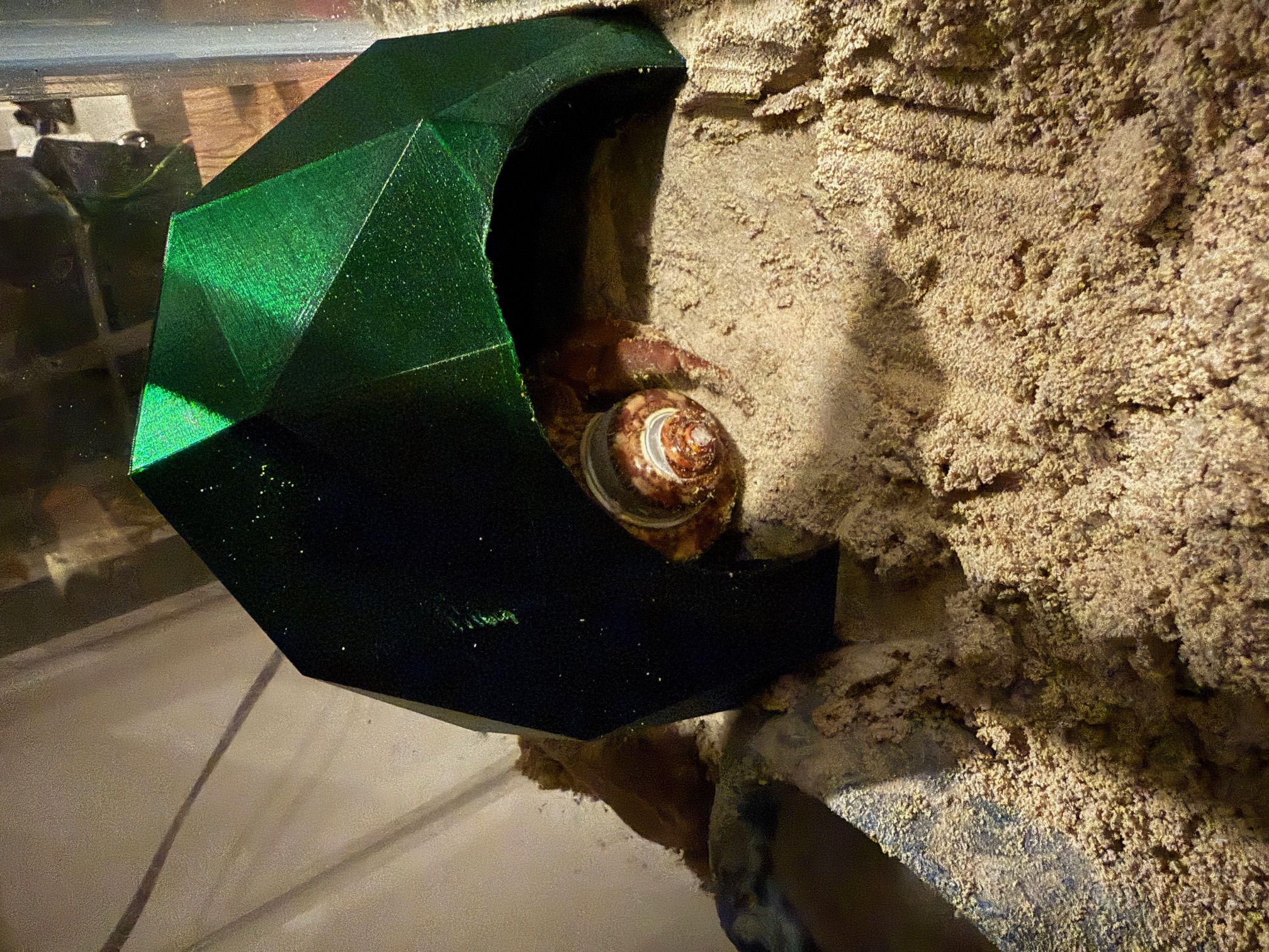 Hermit Crab Cave