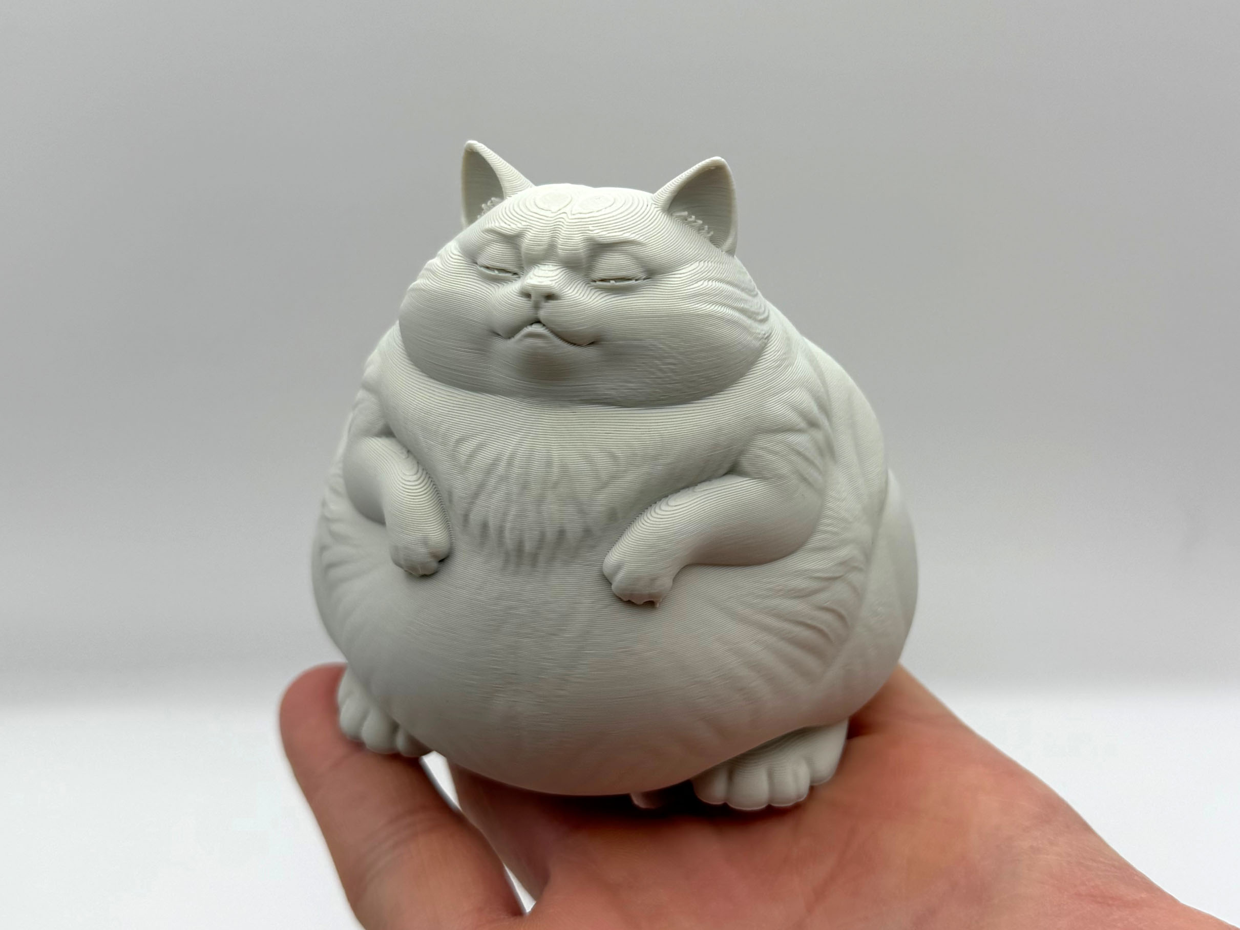 Proud Chonk Cat