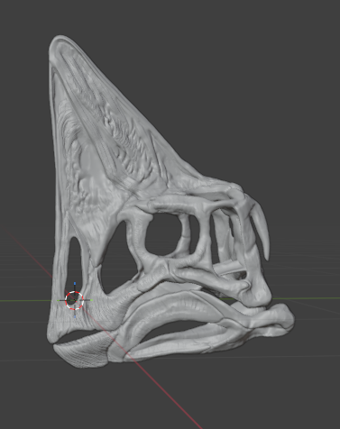 Spike Oviraptor Skull