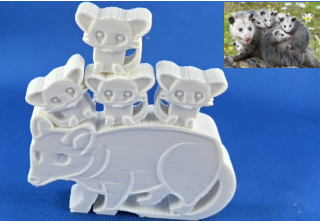 Opossum mit Jungen