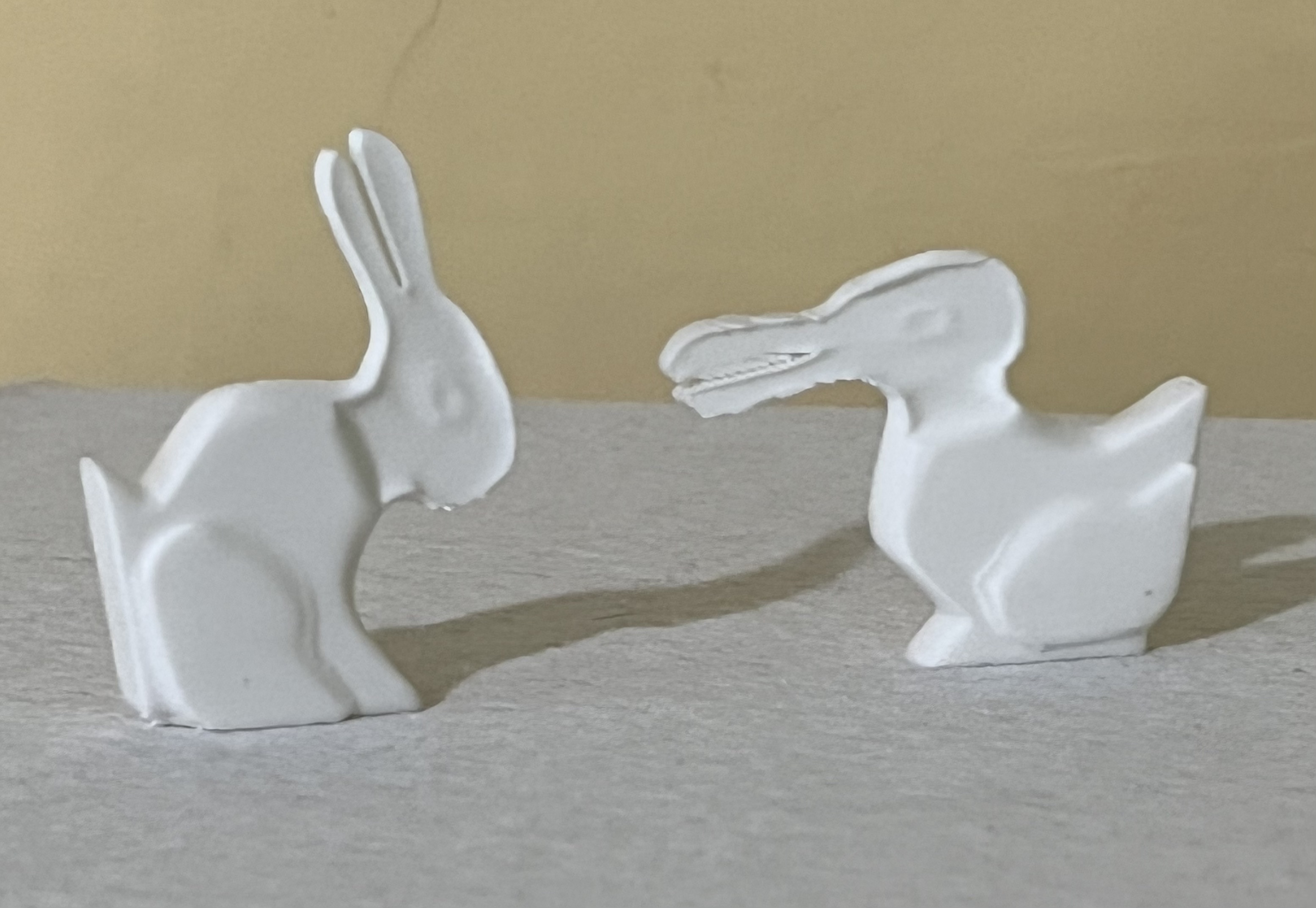 Hollow Face Rabbit Duck Illusion