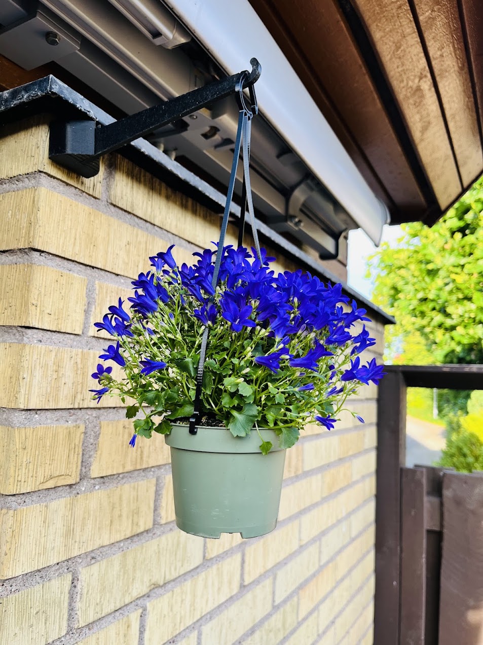 Pot/Plant hanger