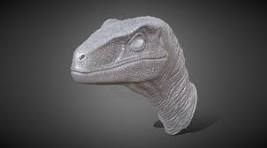 Raptor Head