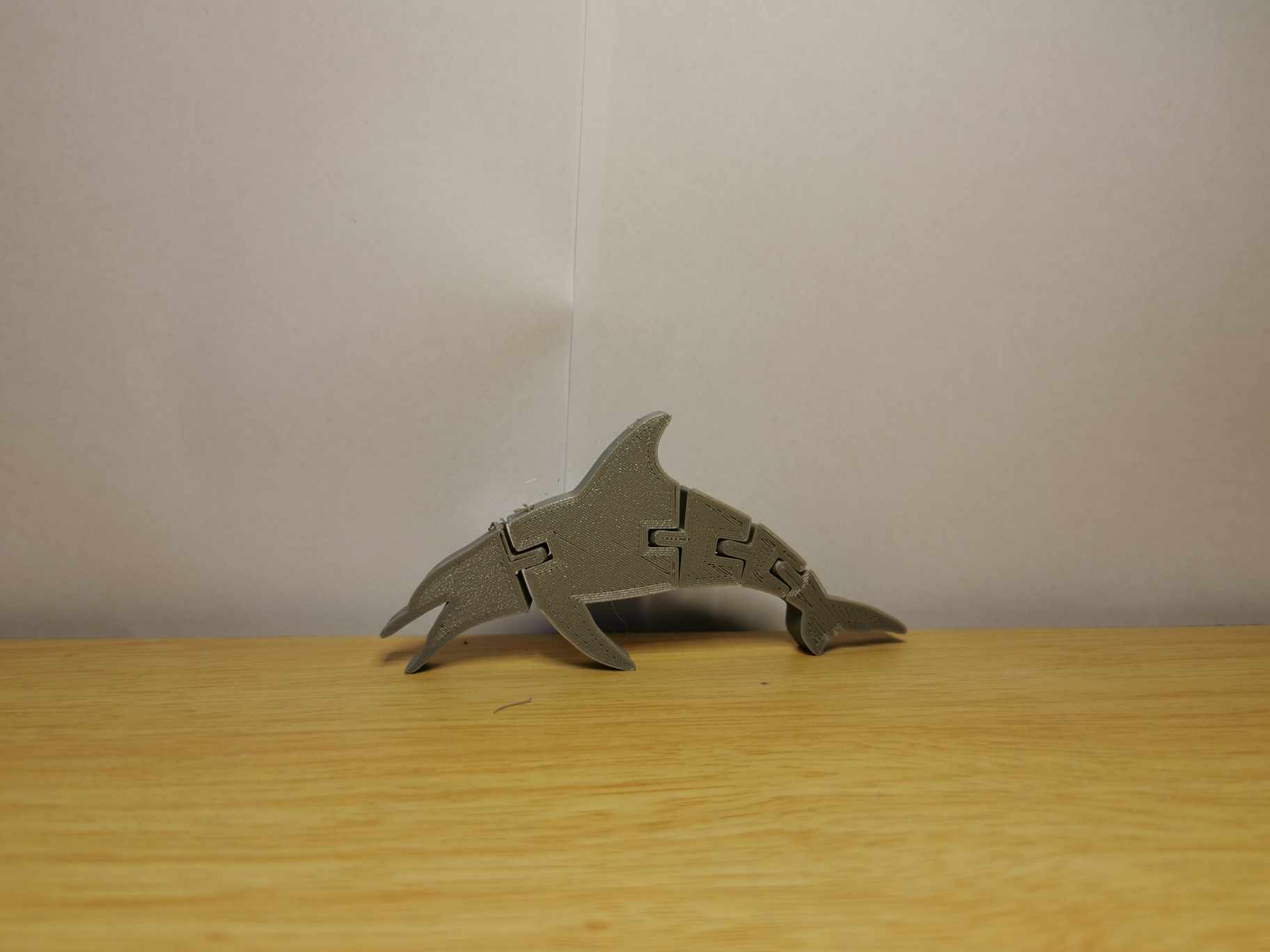 Flexi dolphin