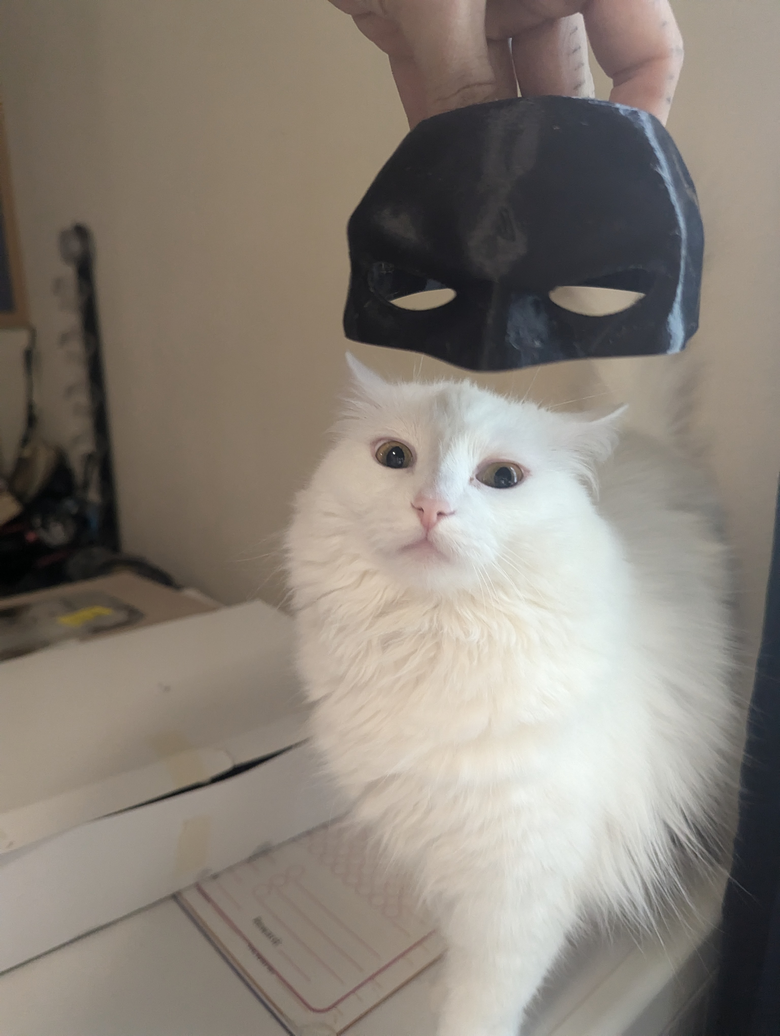 Bat Cat Batman Mask Even Easier by Clarence Windsor | Download free STL ...