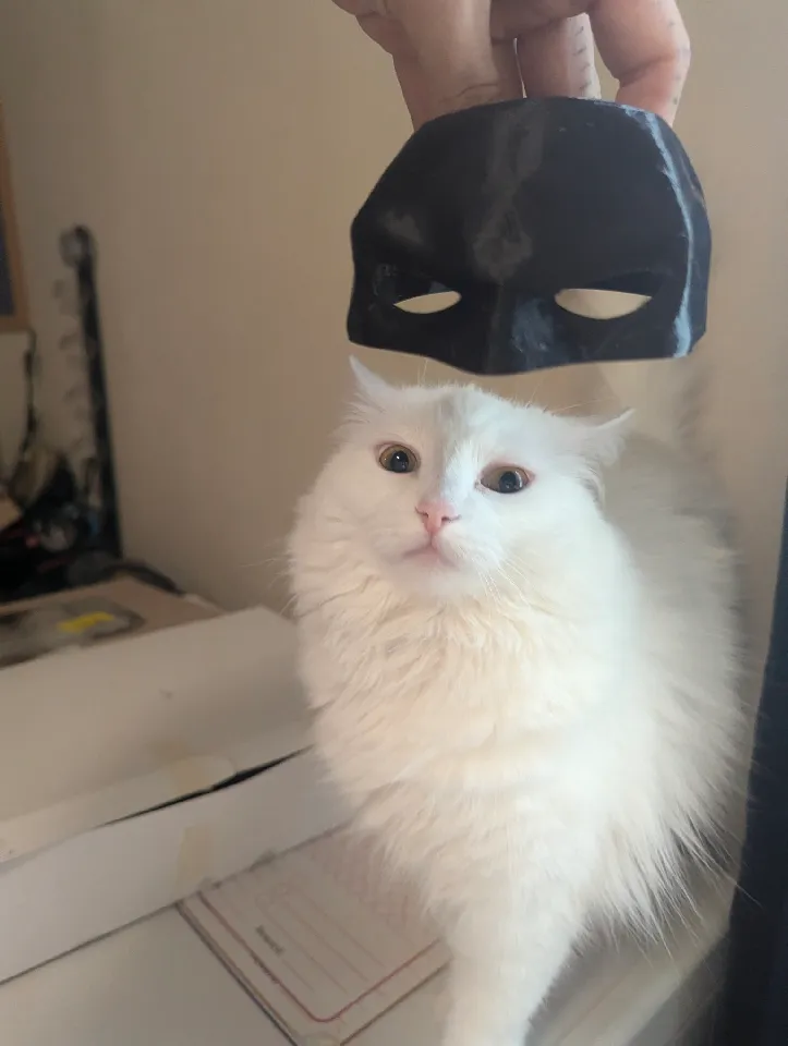 Bat Cat Batman Mask Even Easier by Clarence Windsor | Download