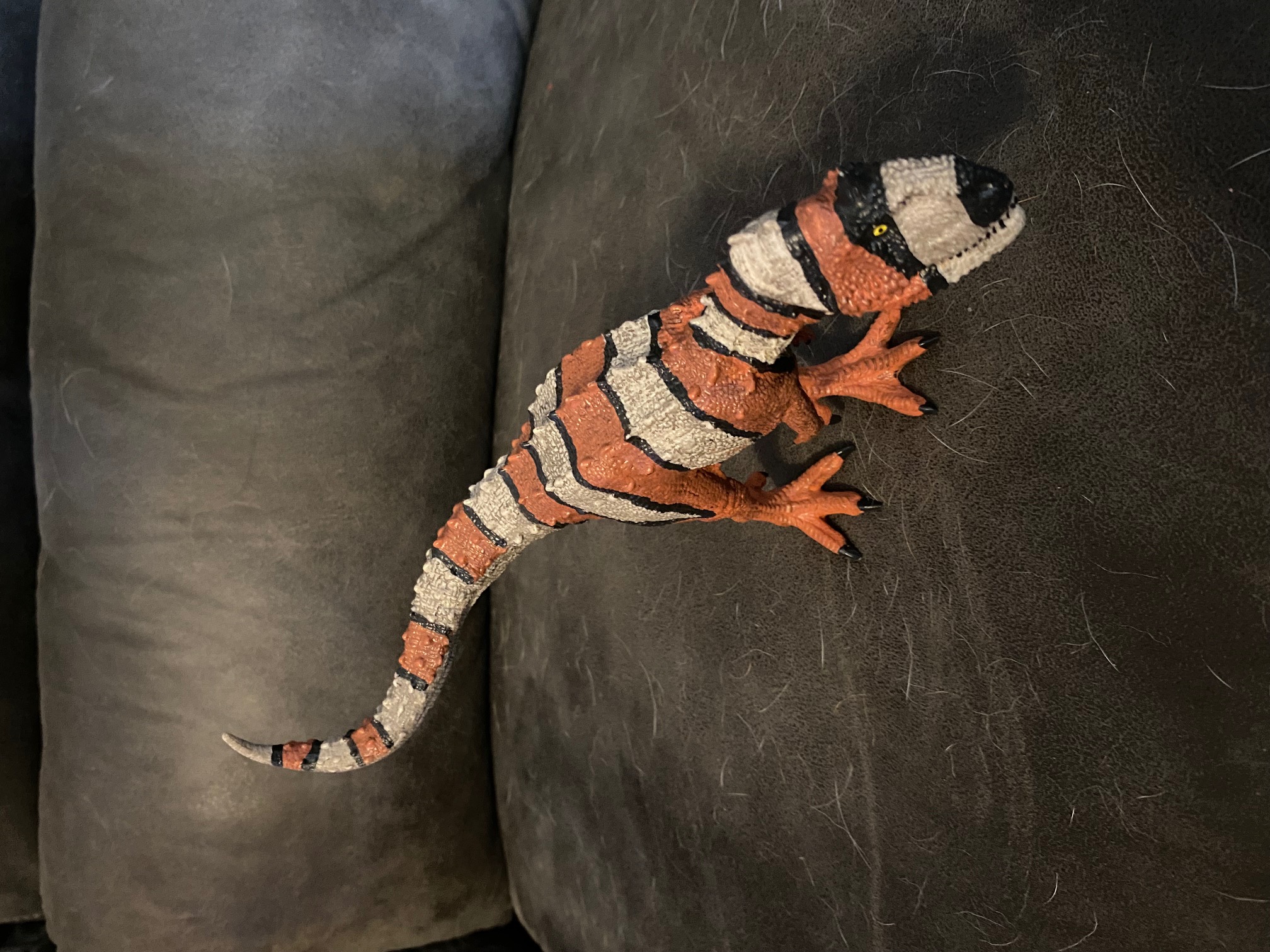 Albertosaurus Dinosaur