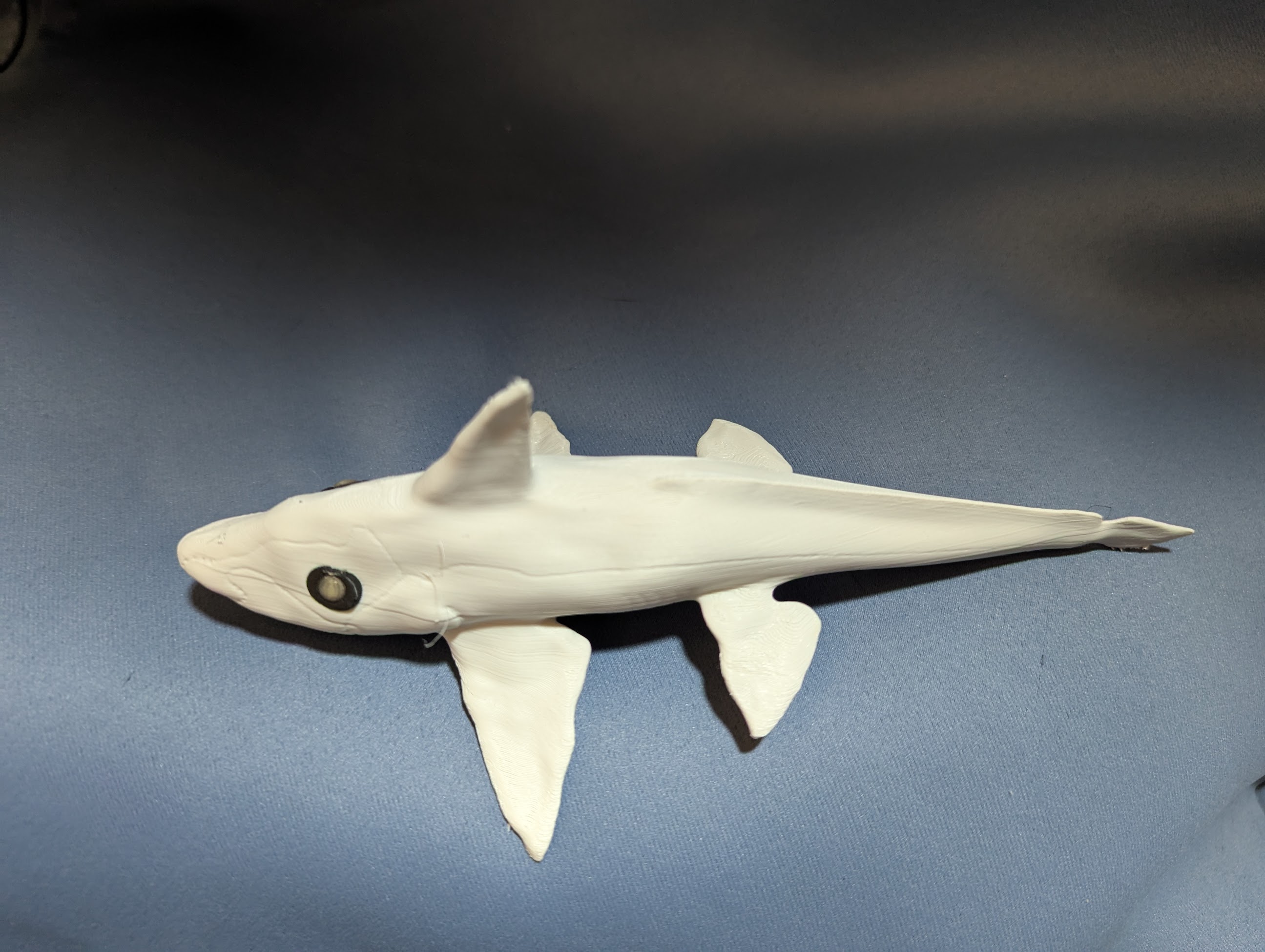 Ghost Shark