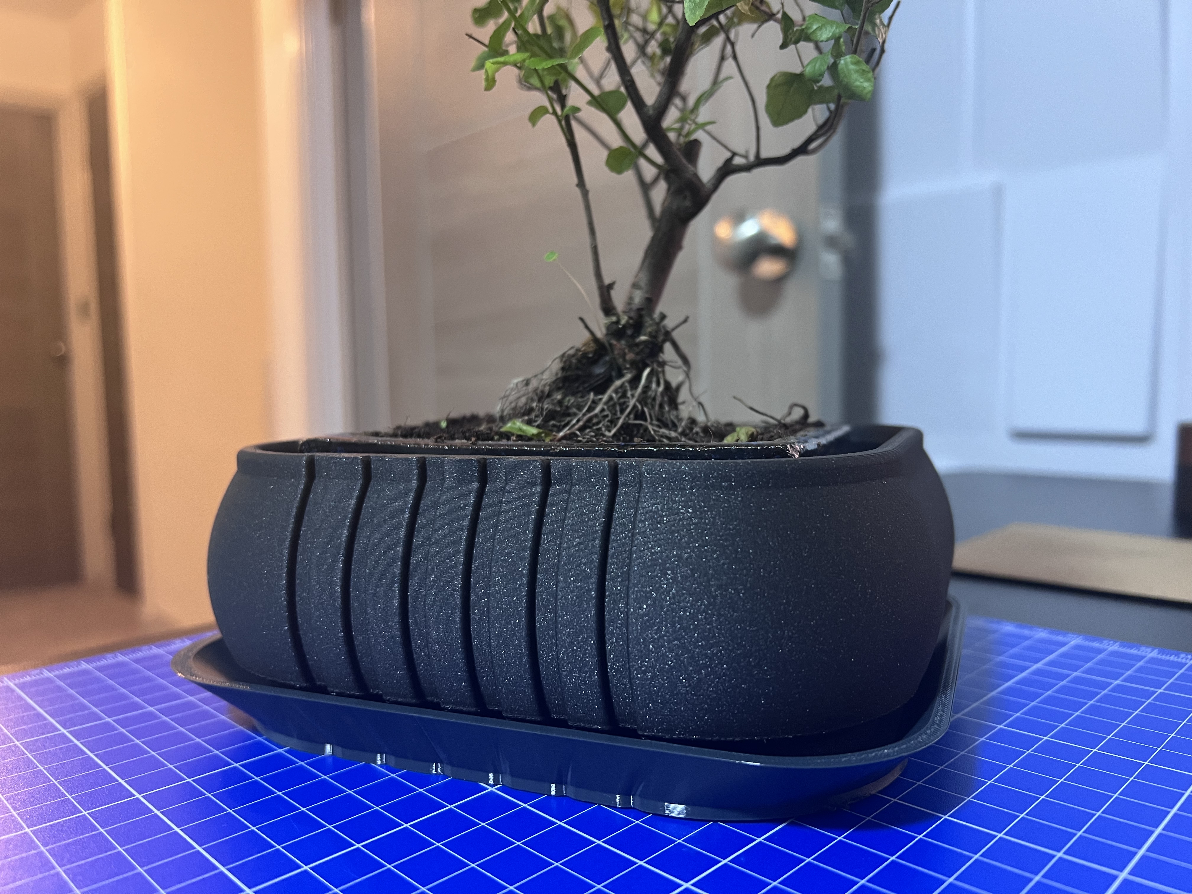 Bonsai Planter