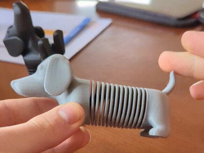 slinky dog