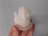 Low Poly Duck Companion