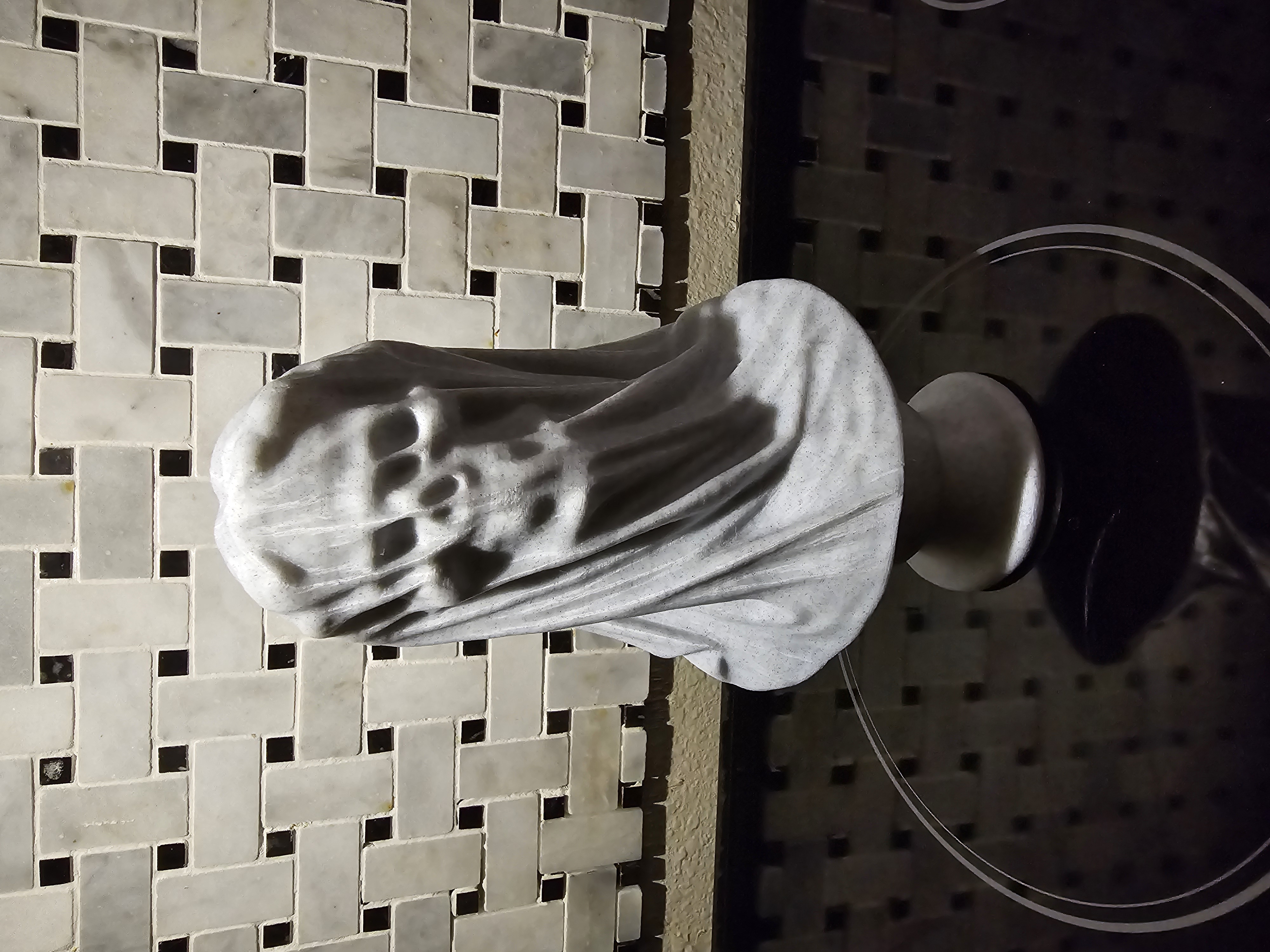 Veiled Dead Bride