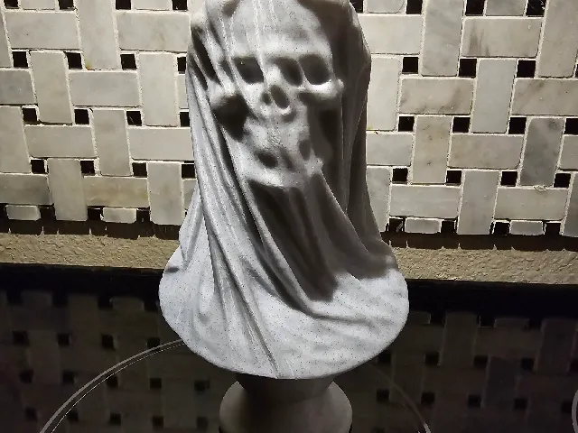 Veiled Dead Bride