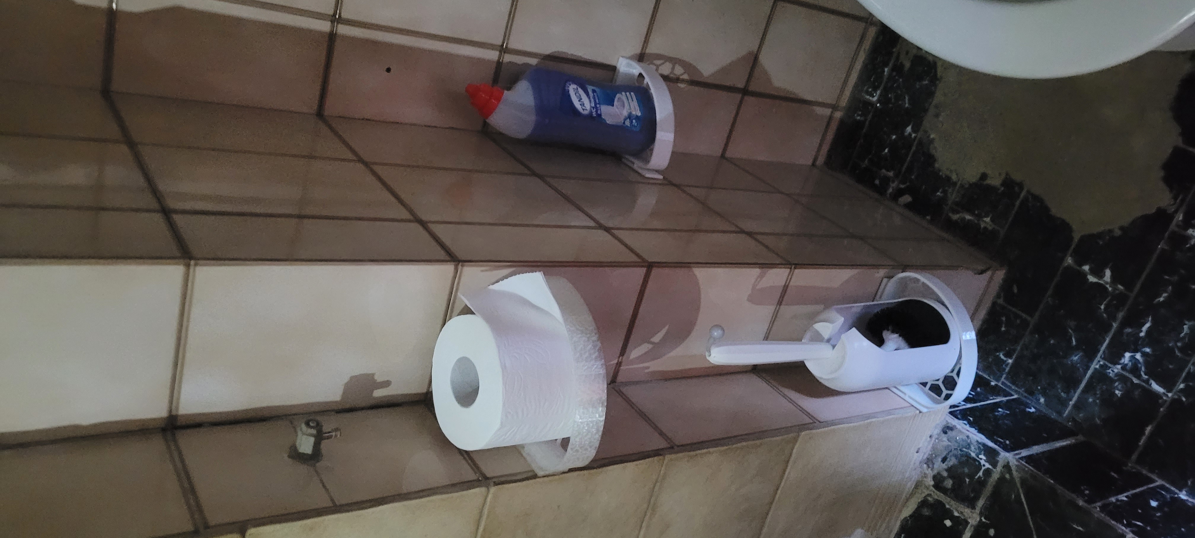 Shampoo holder by werner download free stl model printables