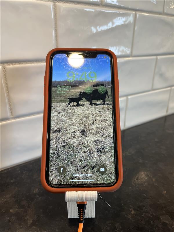 Dog Phonestand