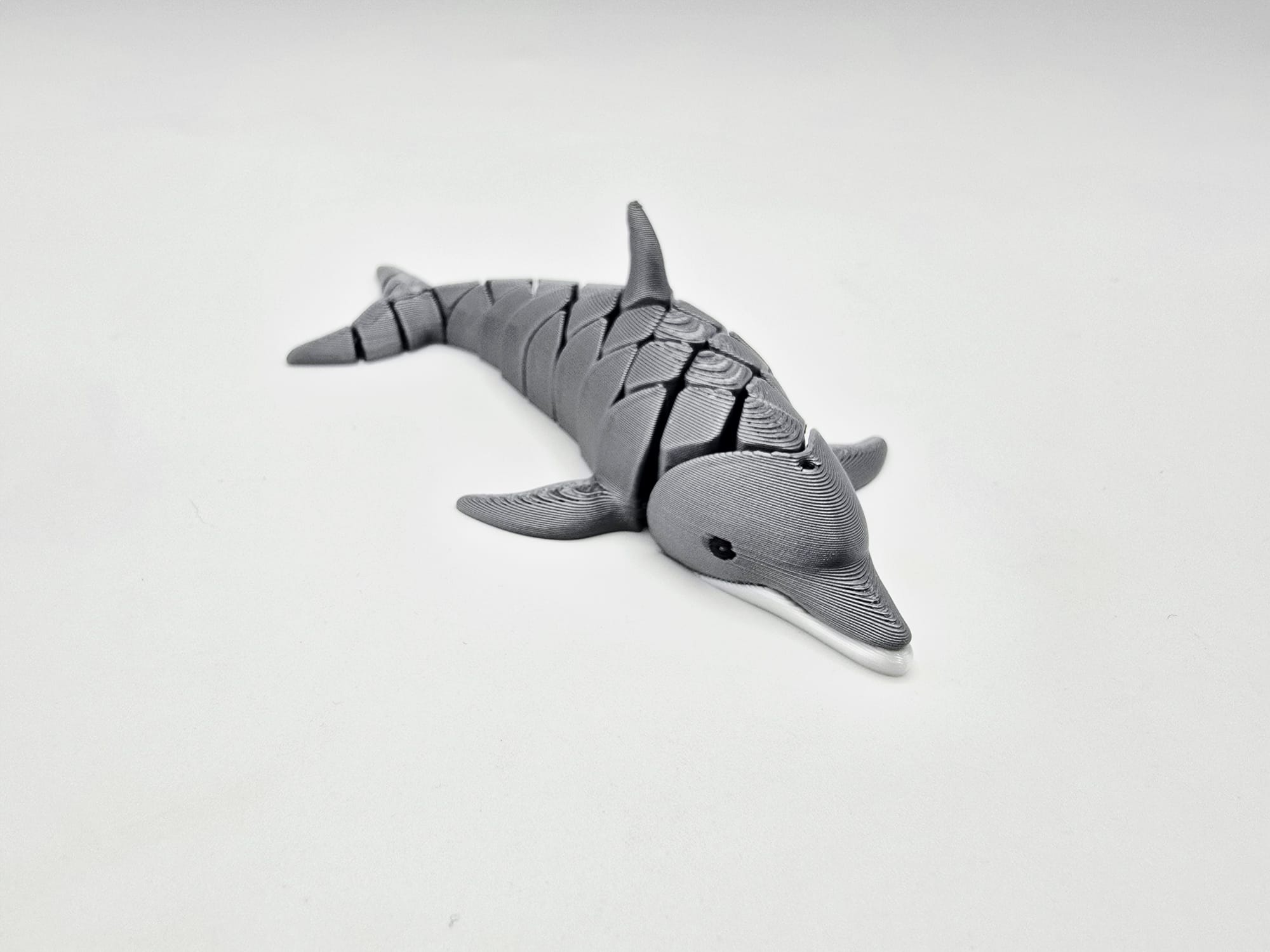 Cute Flexi Dolphin