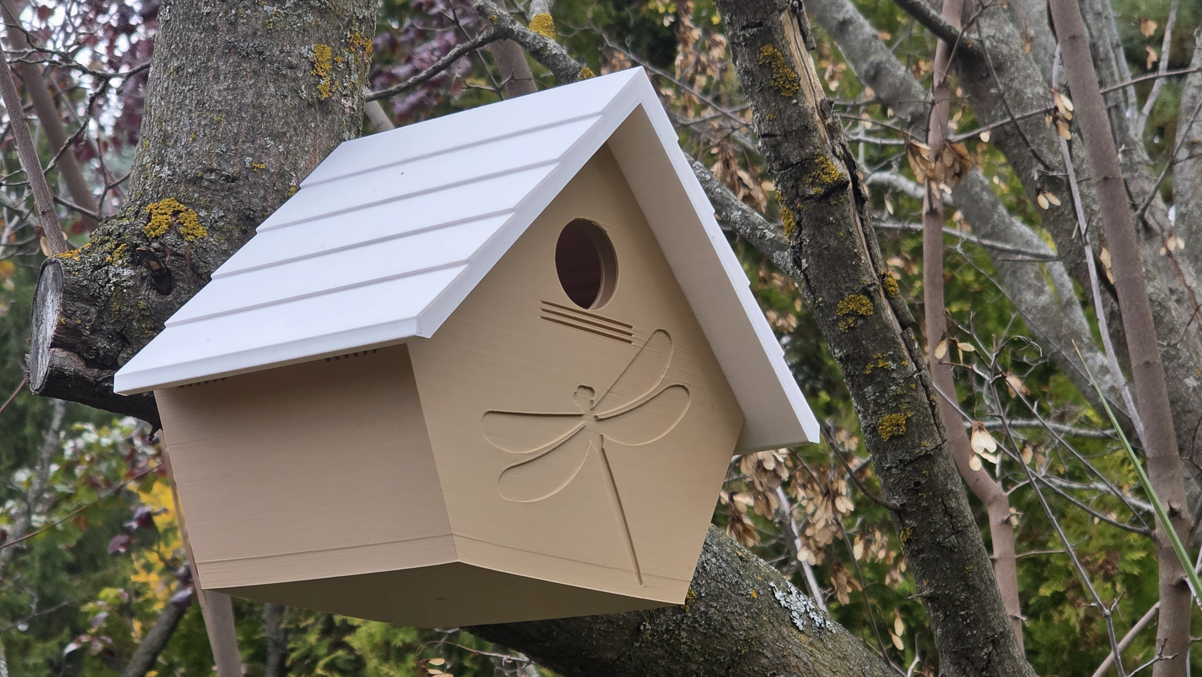 Modified Birdhouse v3.1