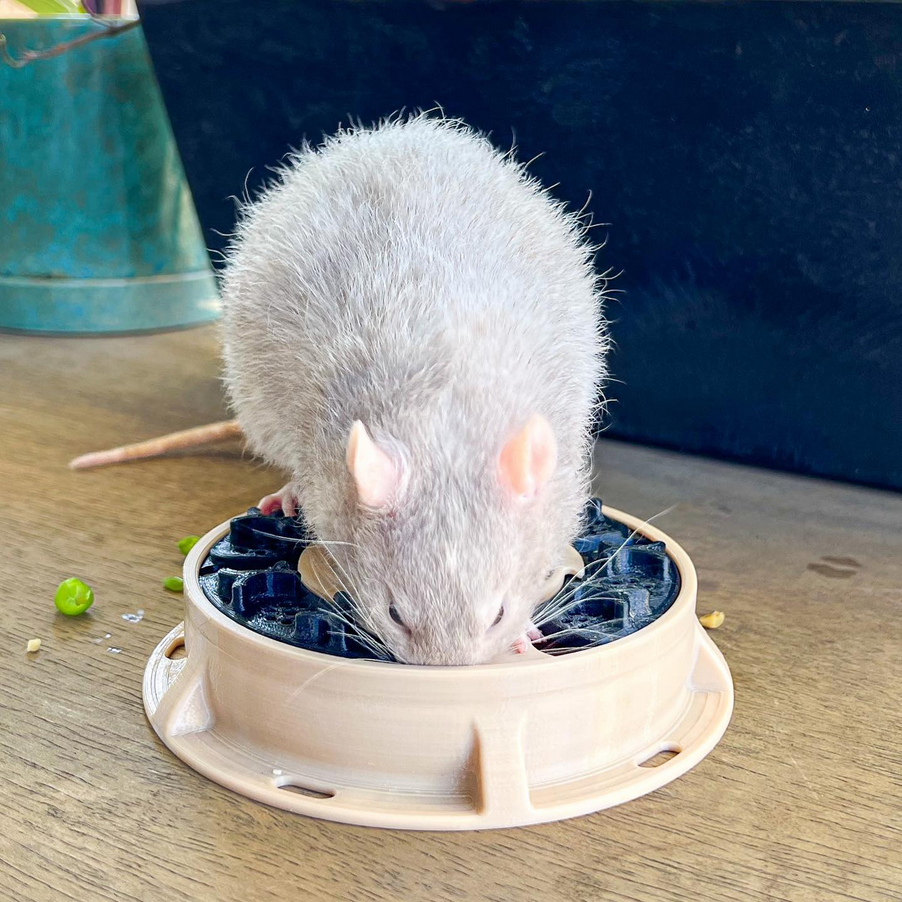 Multi Slider Rat Enrichment & Foraging Toy by hotelrat | Printables Store